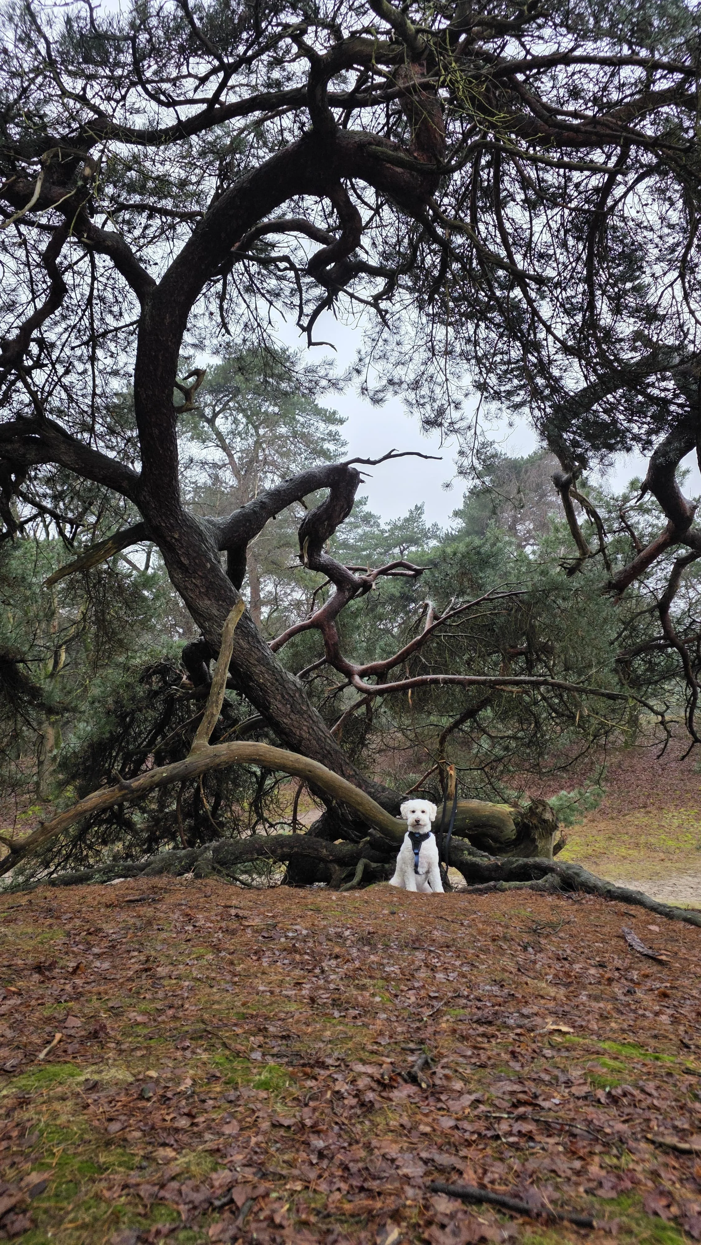 WhatsApp Image 2026-02-01 at 15.39.58.jpeg