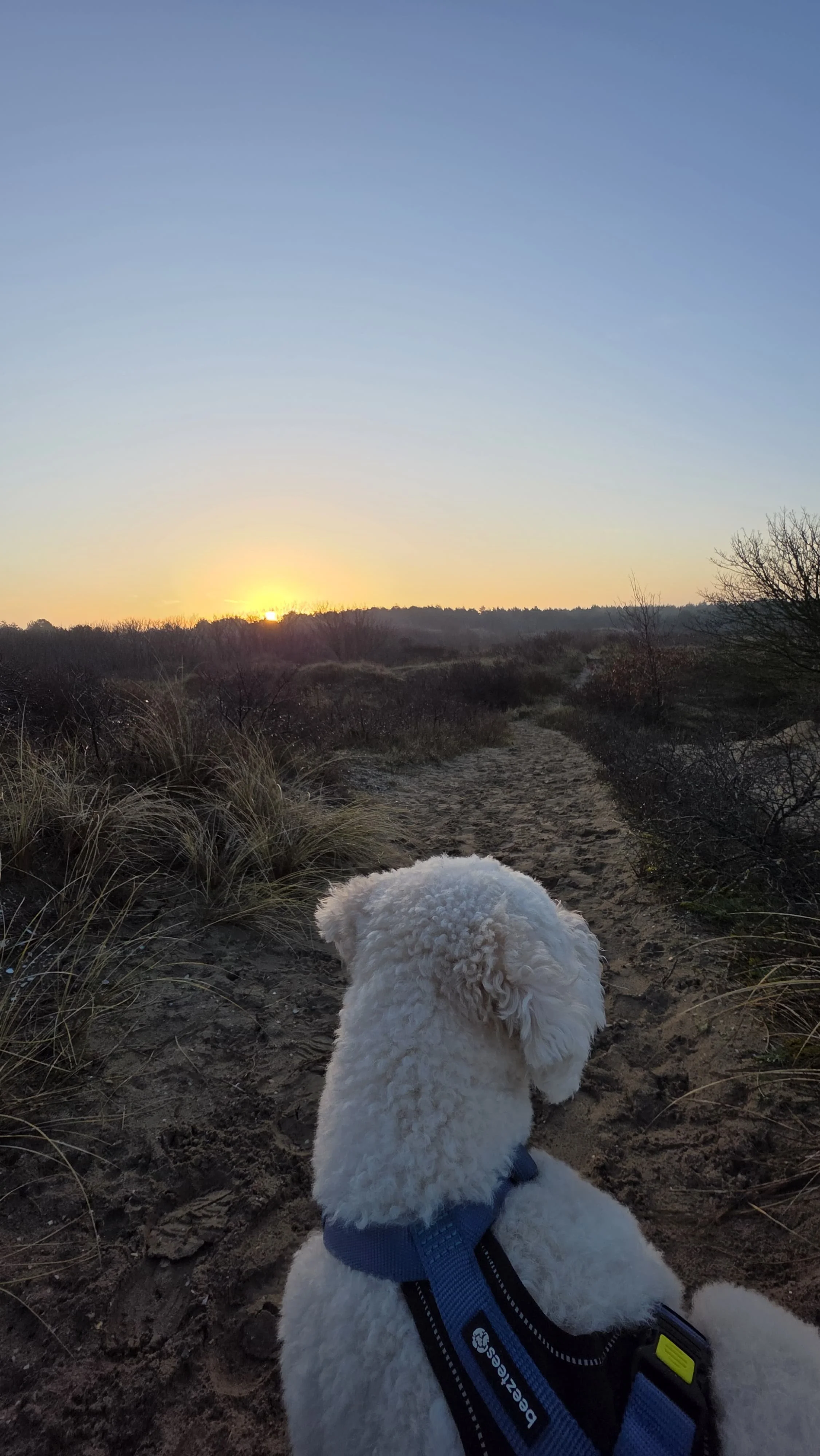 WhatsApp Image 2026-02-07 at 13.43.13 (2).jpeg