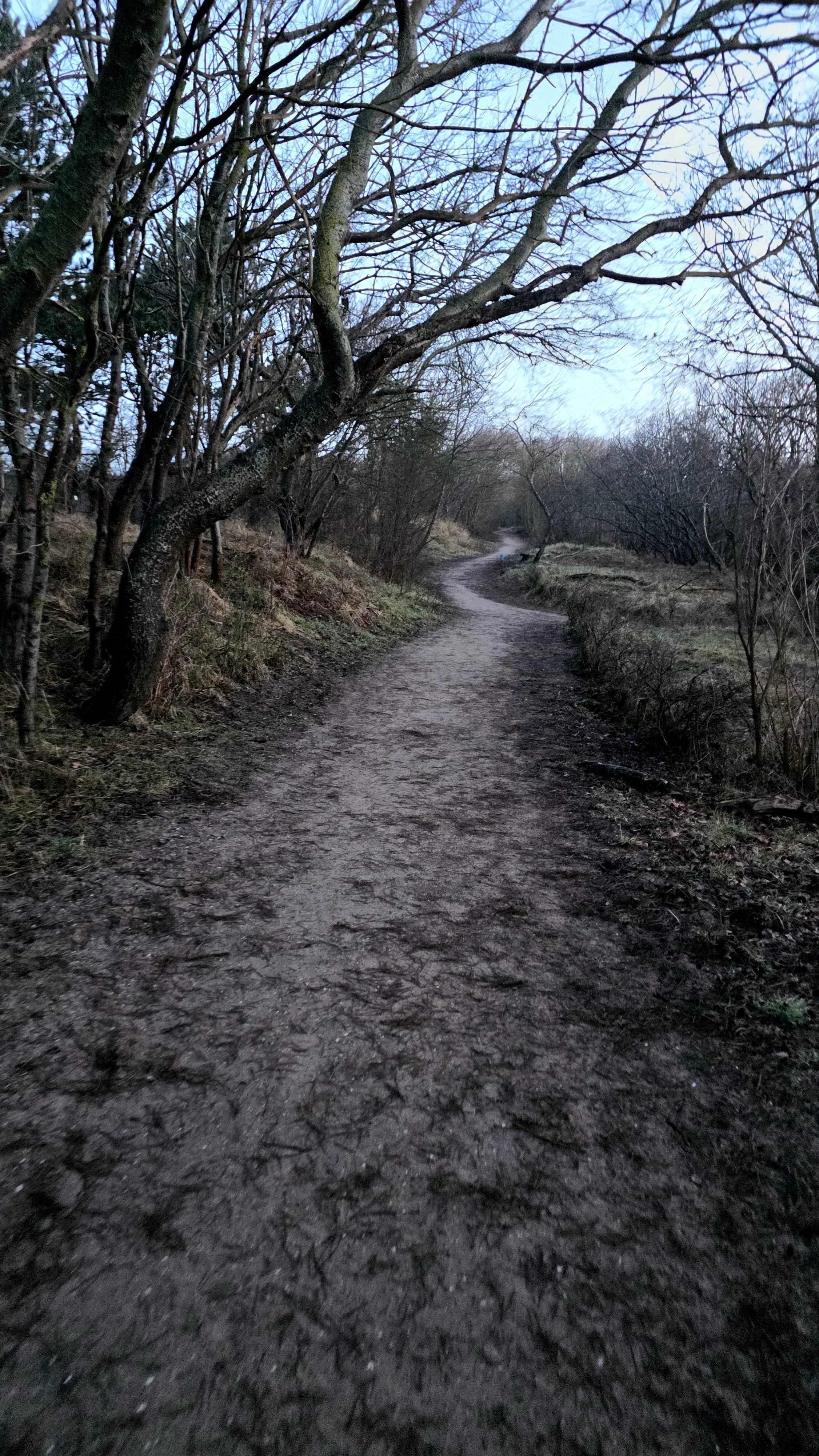 WhatsApp Image 2026-02-07 at 13.43.14 (1).jpeg