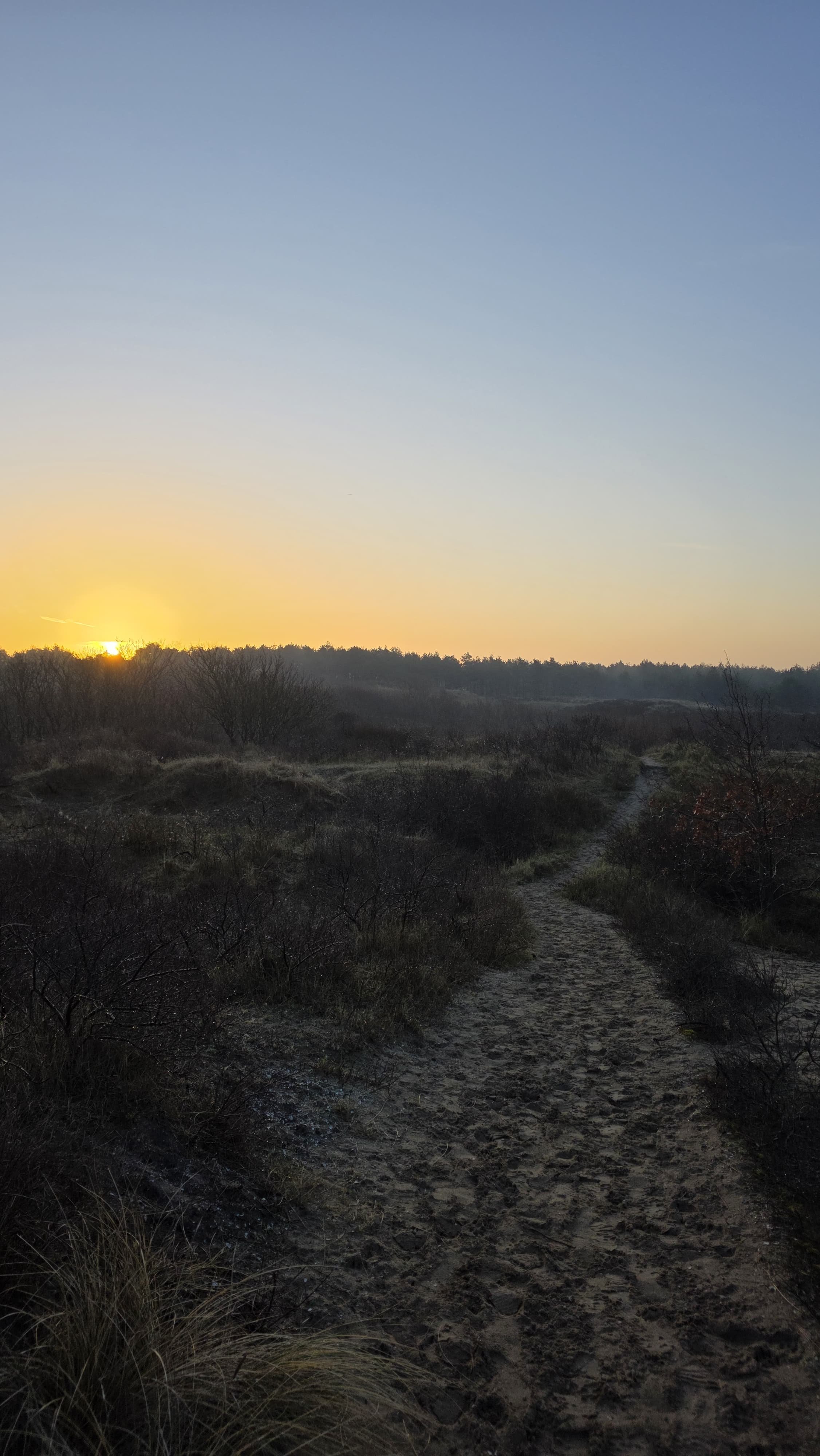 WhatsApp Image 2026-02-07 at 13.45.29.jpeg