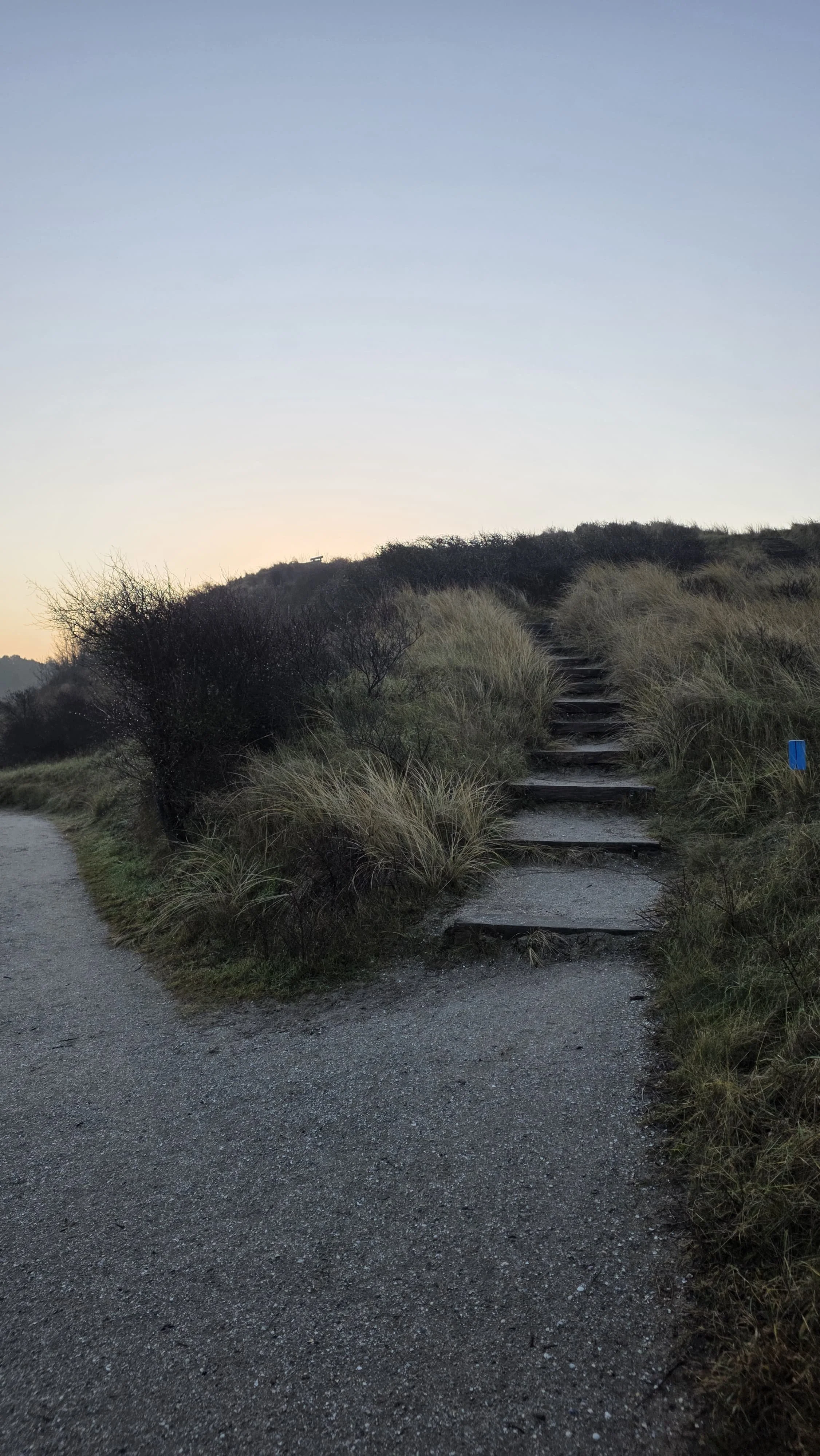 WhatsApp Image 2026-02-07 at 13.43.13.jpeg