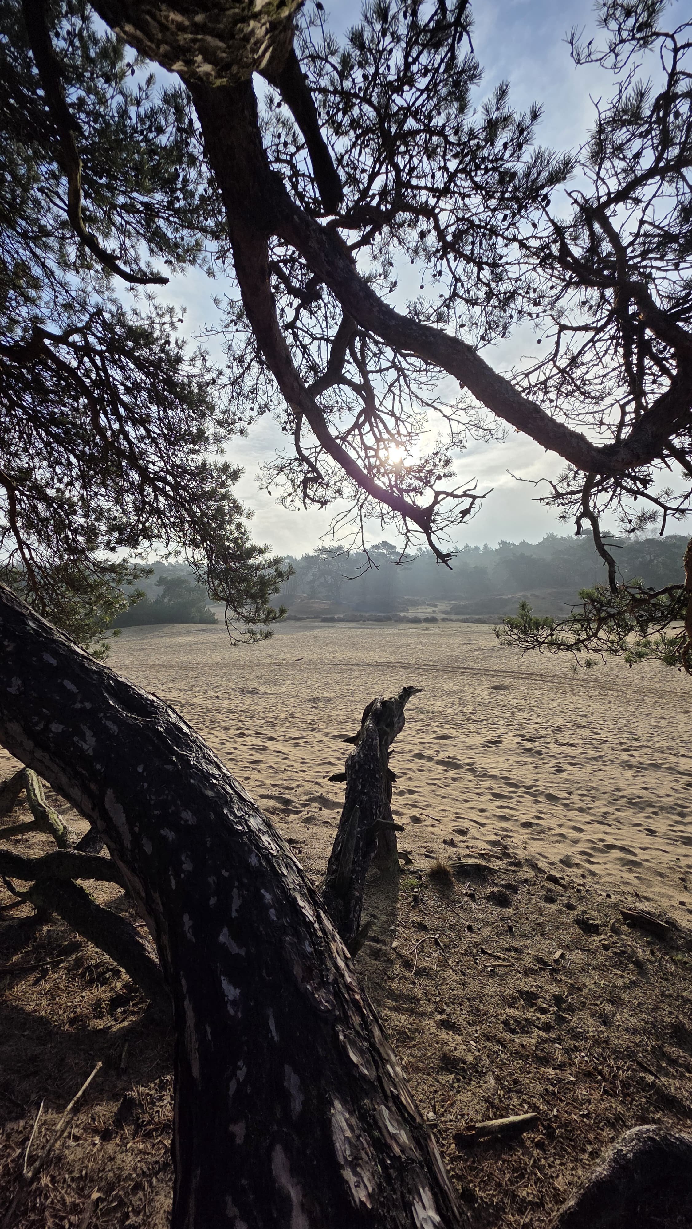 WhatsApp Image 2026-02-07 at 13.43.15.jpeg