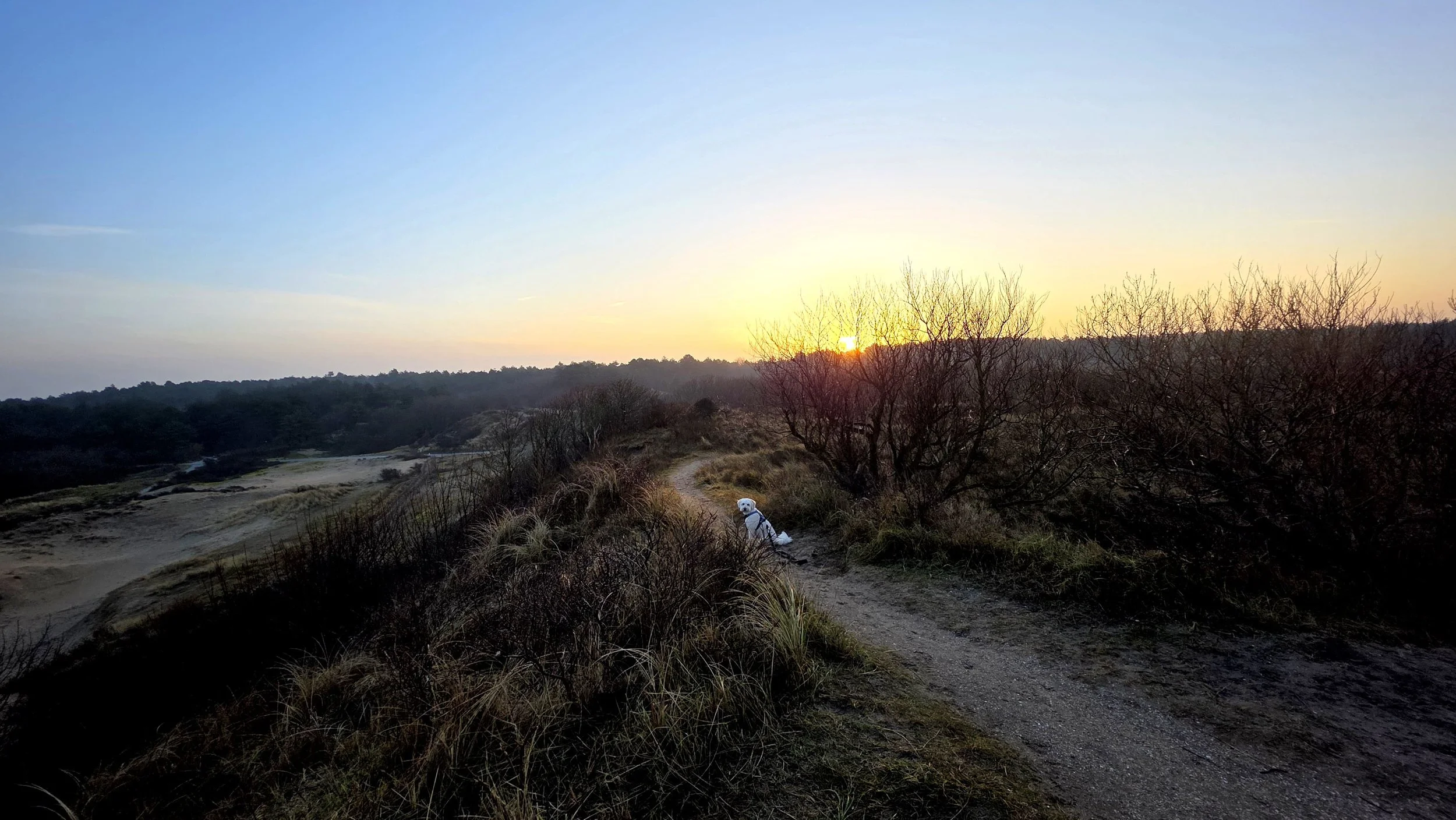 Nachtwacht met ochtendienst