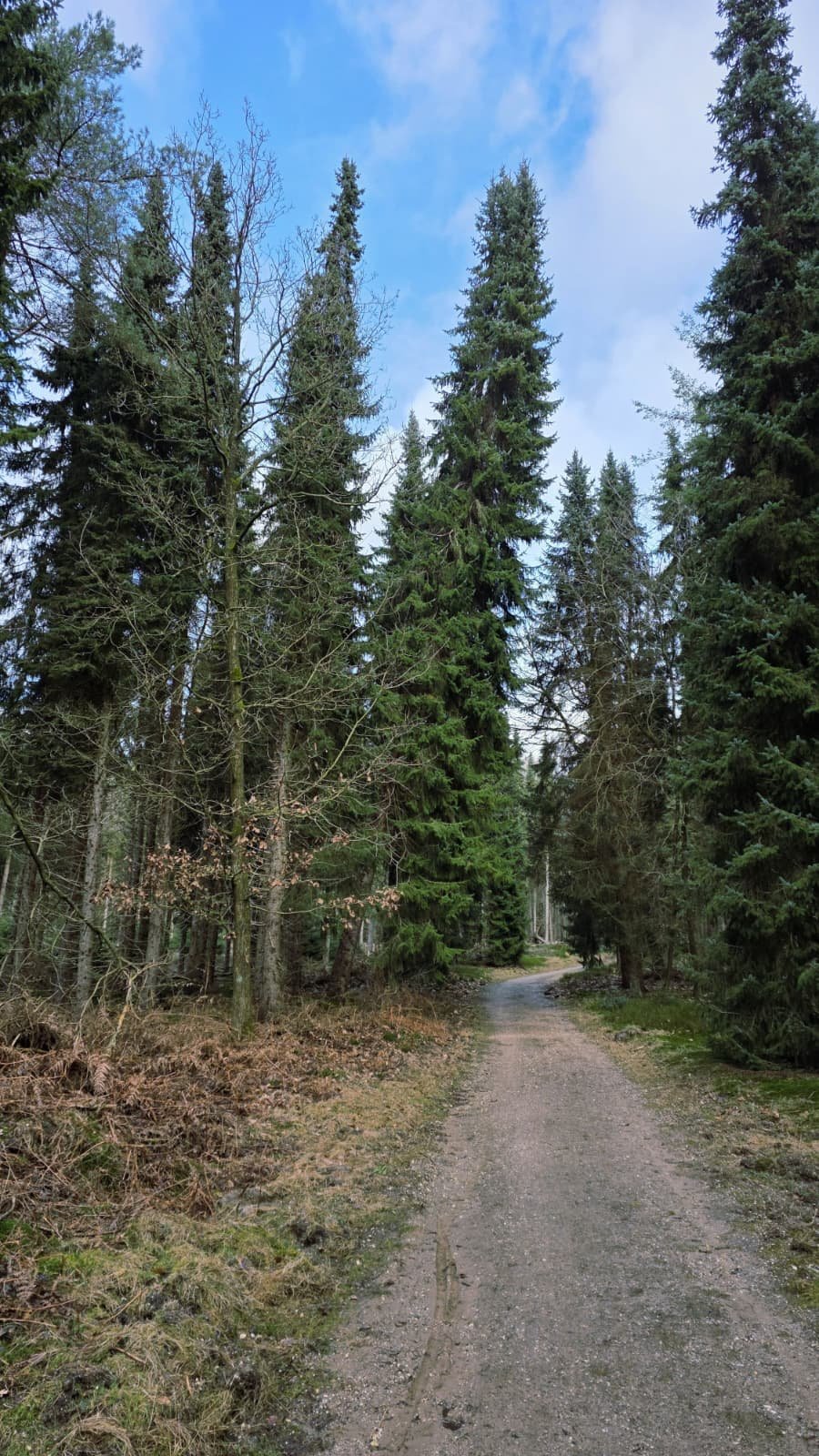 WhatsApp Image 2026-02-21 at 20.11.20.jpeg