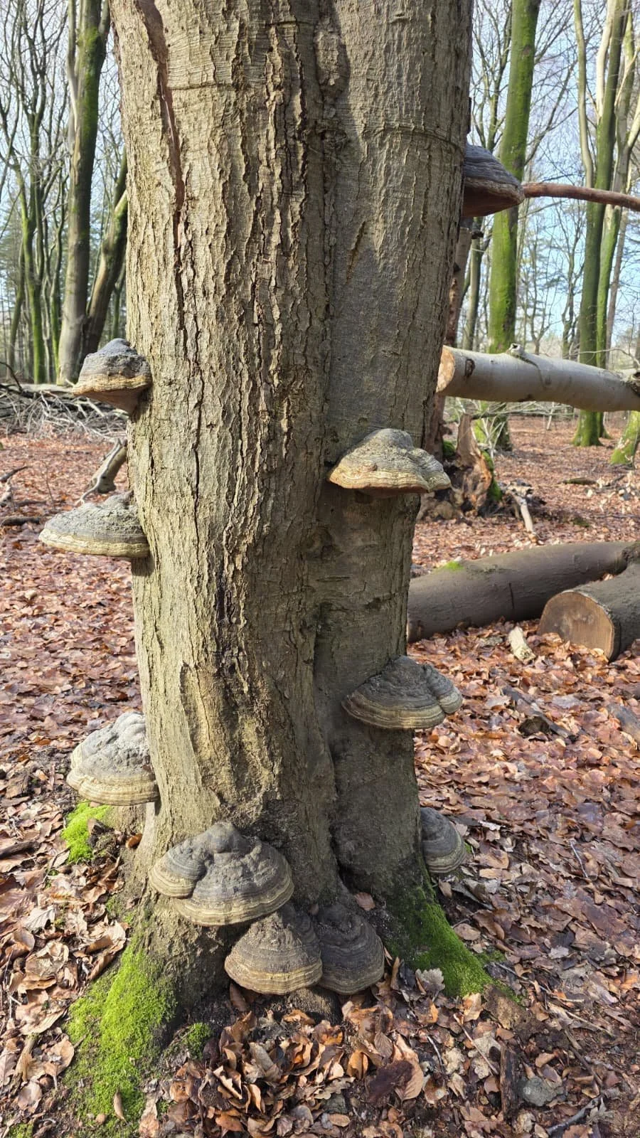 WhatsApp Image 2026-02-21 at 20.11.22.jpeg