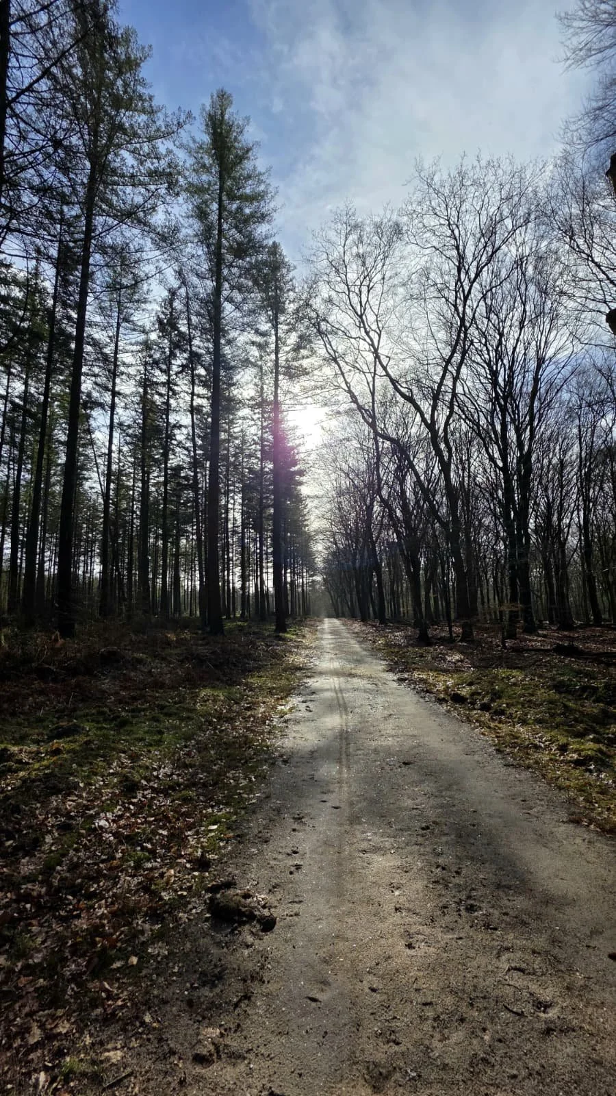 WhatsApp Image 2026-02-21 at 20.11.21 (2).jpeg