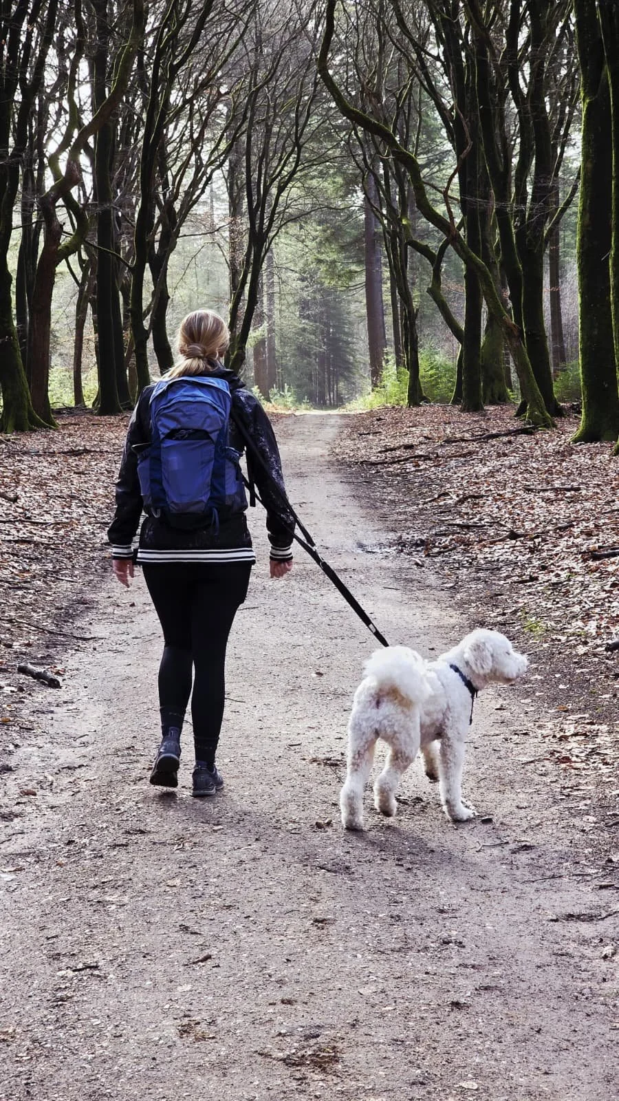 WhatsApp Image 2026-02-21 at 20.11.21.jpeg