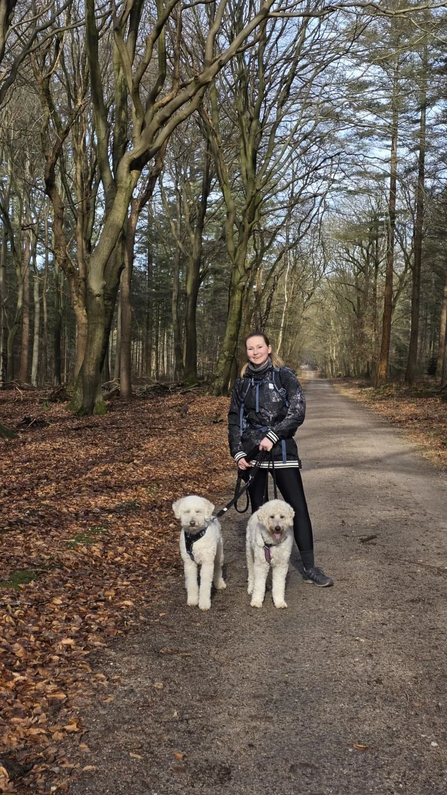 WhatsApp Image 2026-02-21 at 20.11.23 (1).jpeg