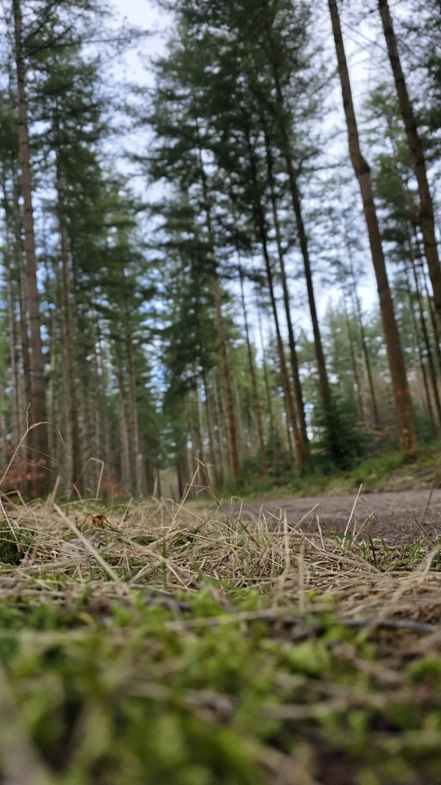 WhatsApp Image 2026-02-21 at 20.11.22 (1).jpeg