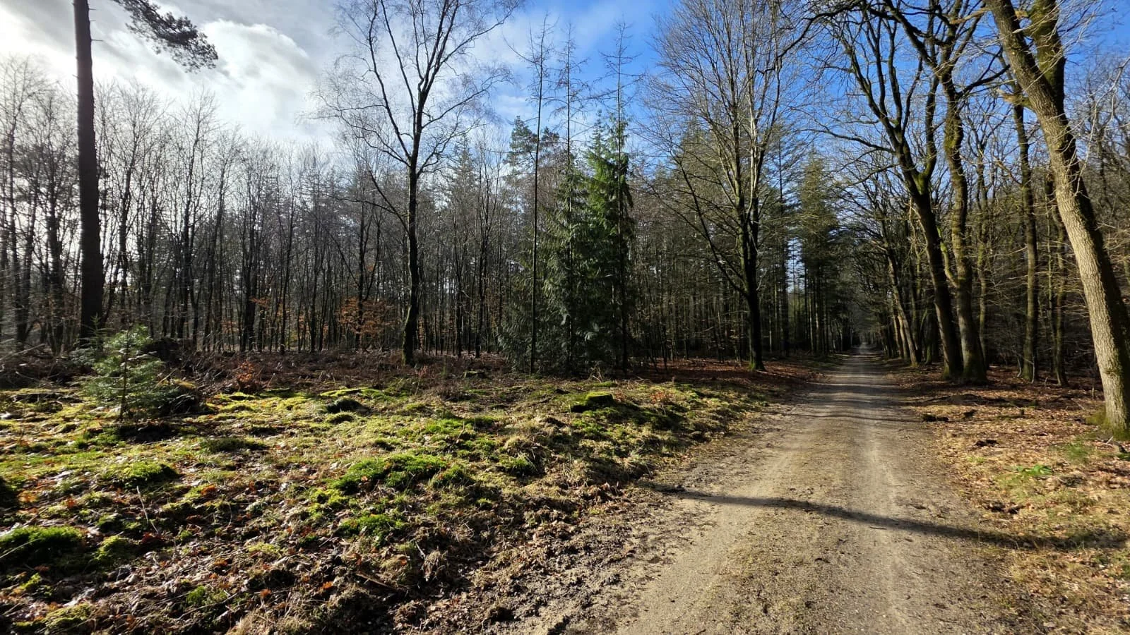 Onverhard &amp; Ongehaast