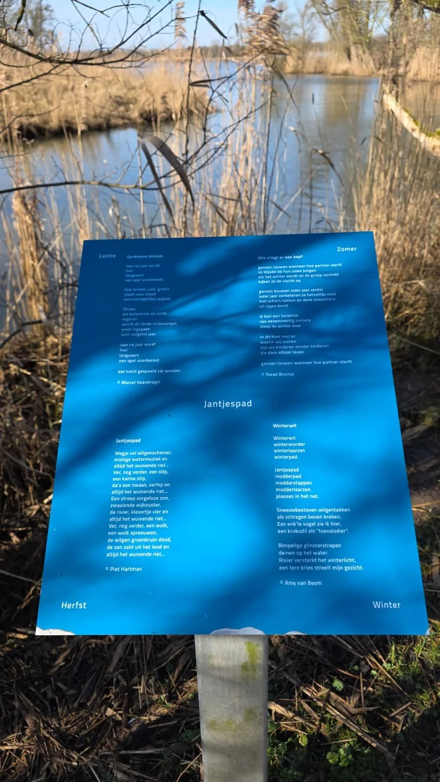 WhatsApp Image 2026-03-01 at 16.31.51 (3).jpeg