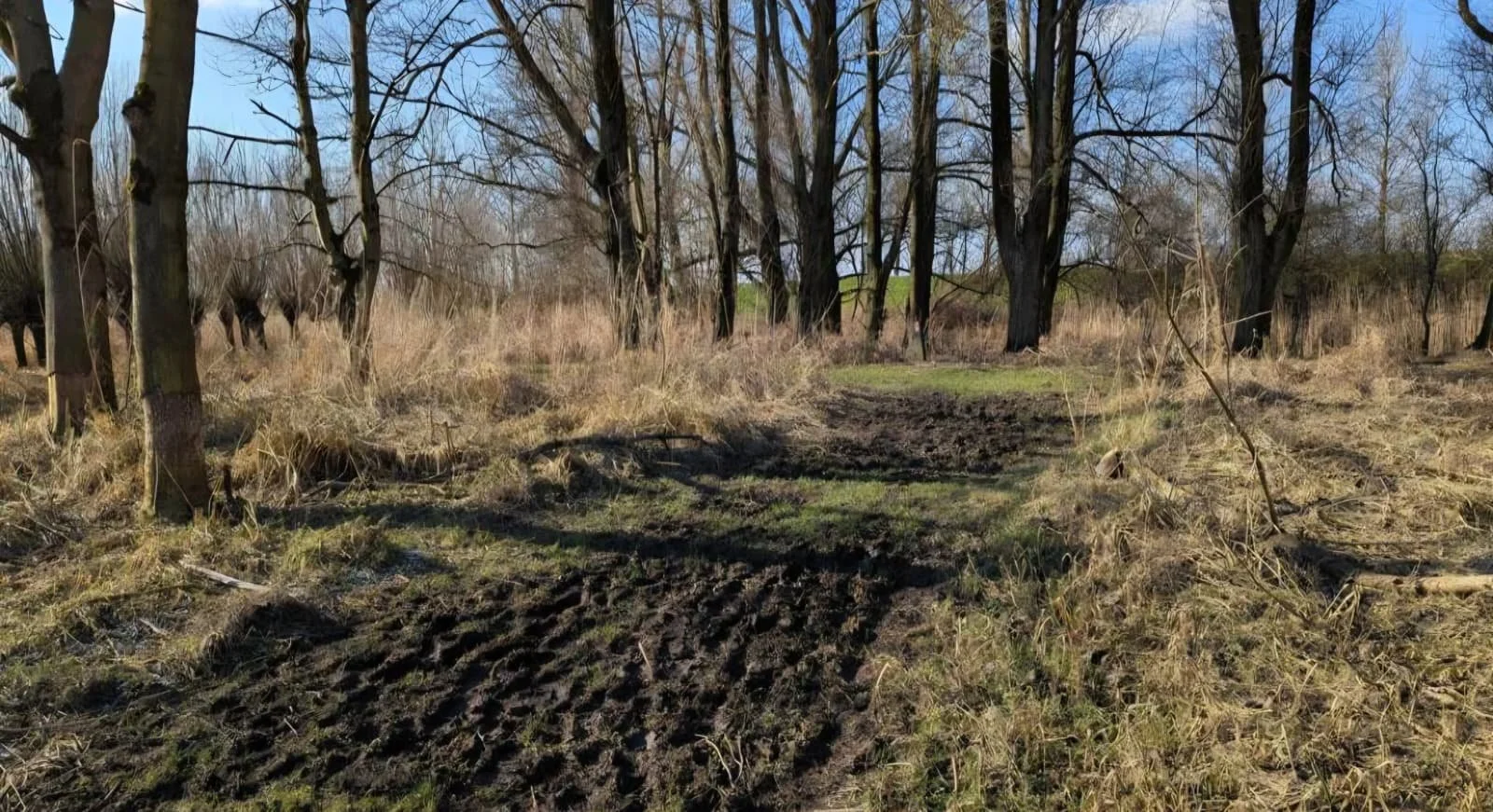 WhatsApp Image 2026-03-01 at 16.31.50.jpeg