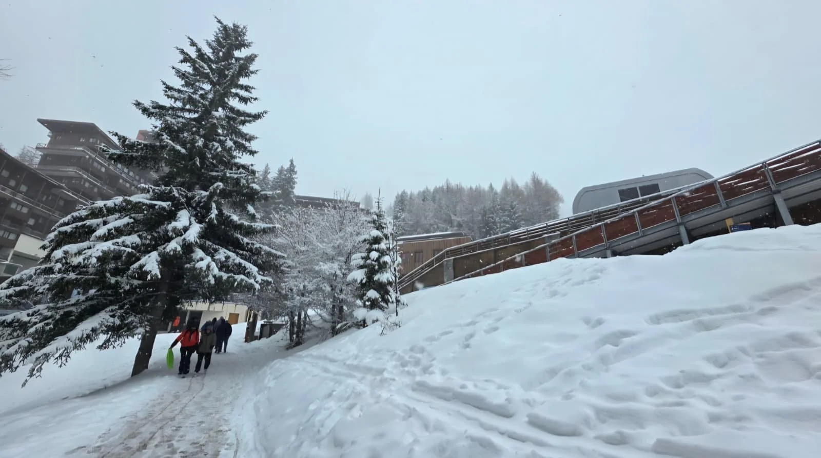 WhatsApp Image 2026-03-22 at 17.54.27.jpeg