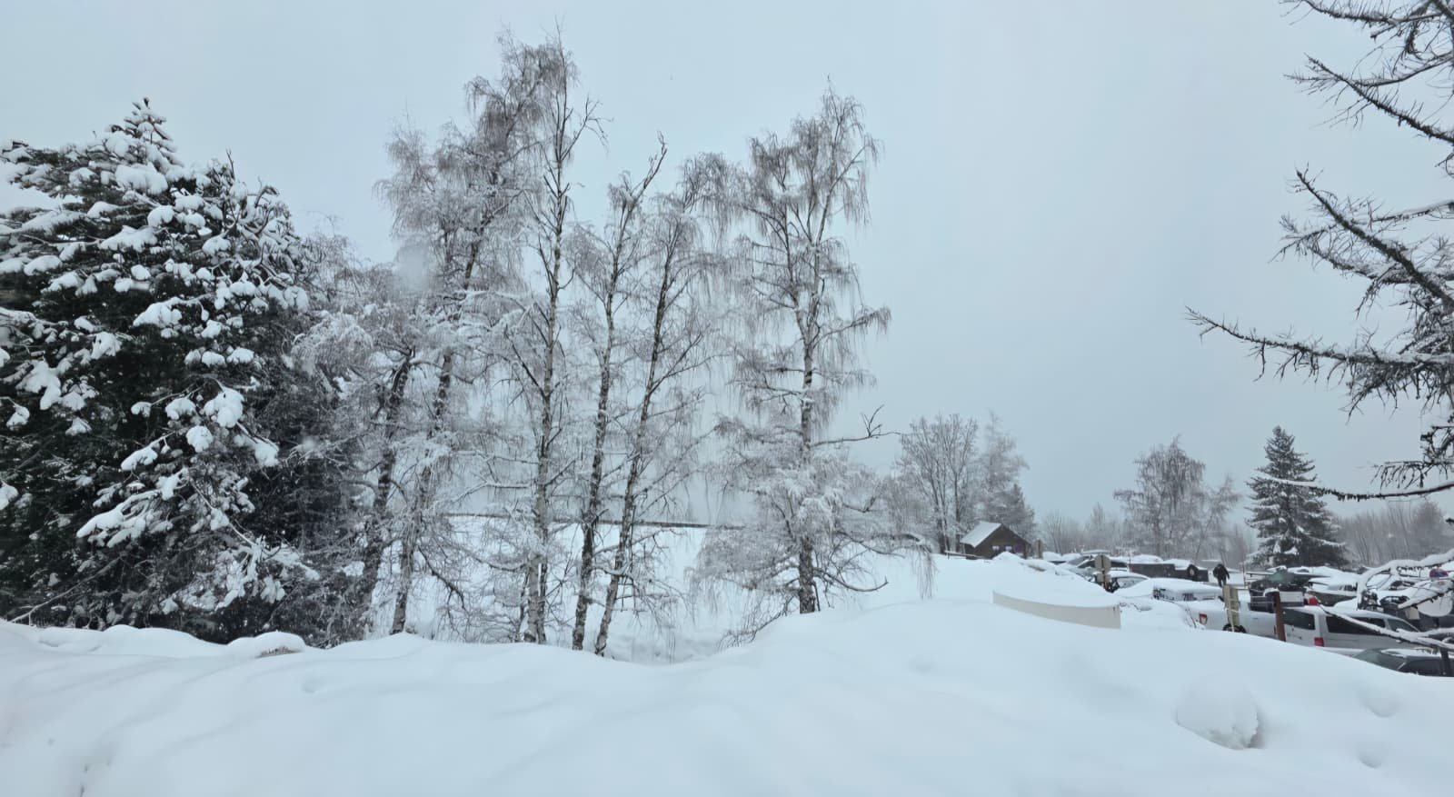 WhatsApp Image 2026-03-22 at 17.54.28 (2).jpeg