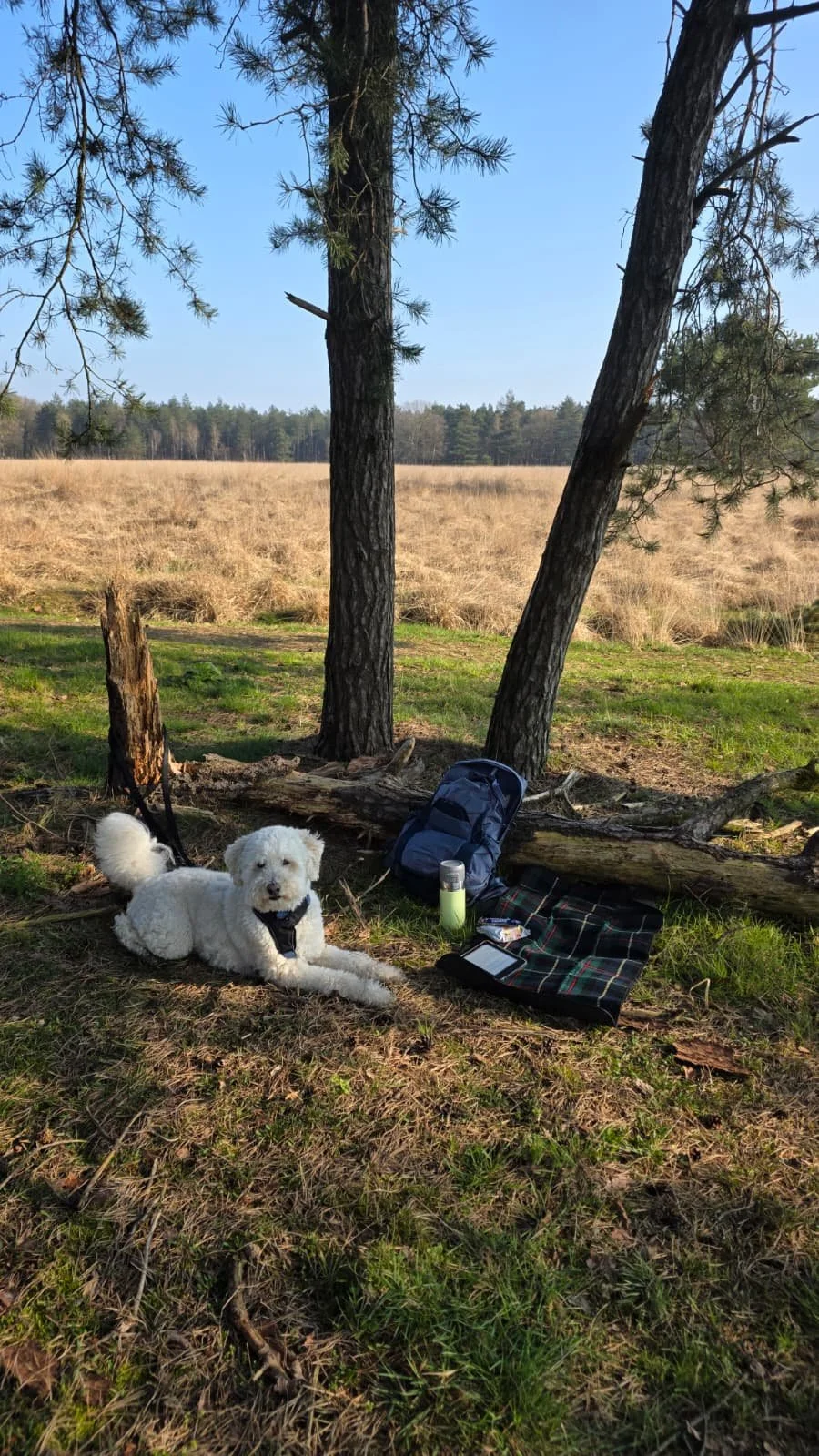 WhatsApp Image 2026-03-22 at 17.30.34.jpeg