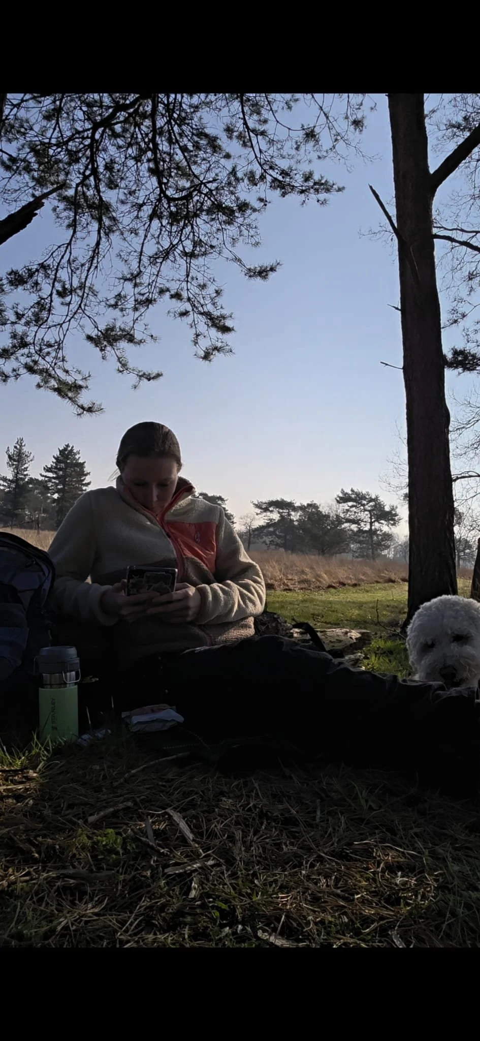 WhatsApp Image 2026-03-22 at 18.28.06.jpeg