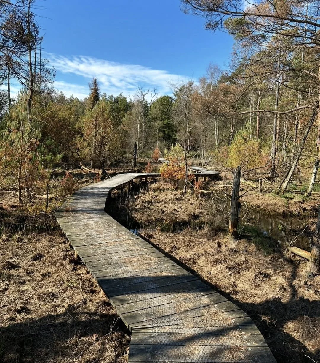 Stilte op de Stippelberg