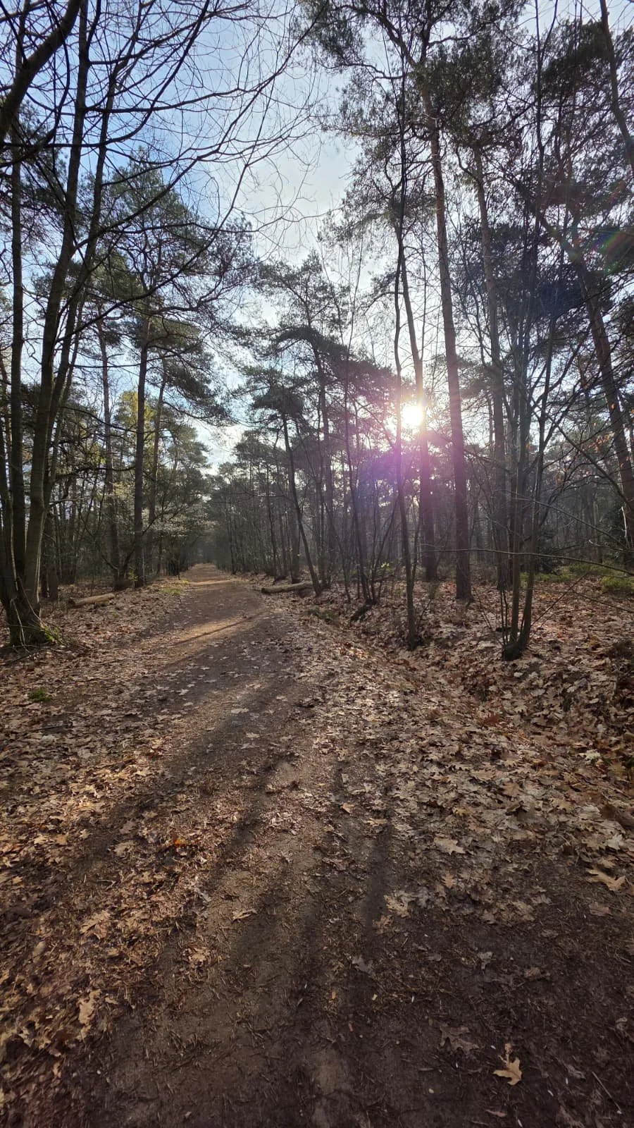 WhatsApp Image 2026-04-06 at 14.05.56.jpeg