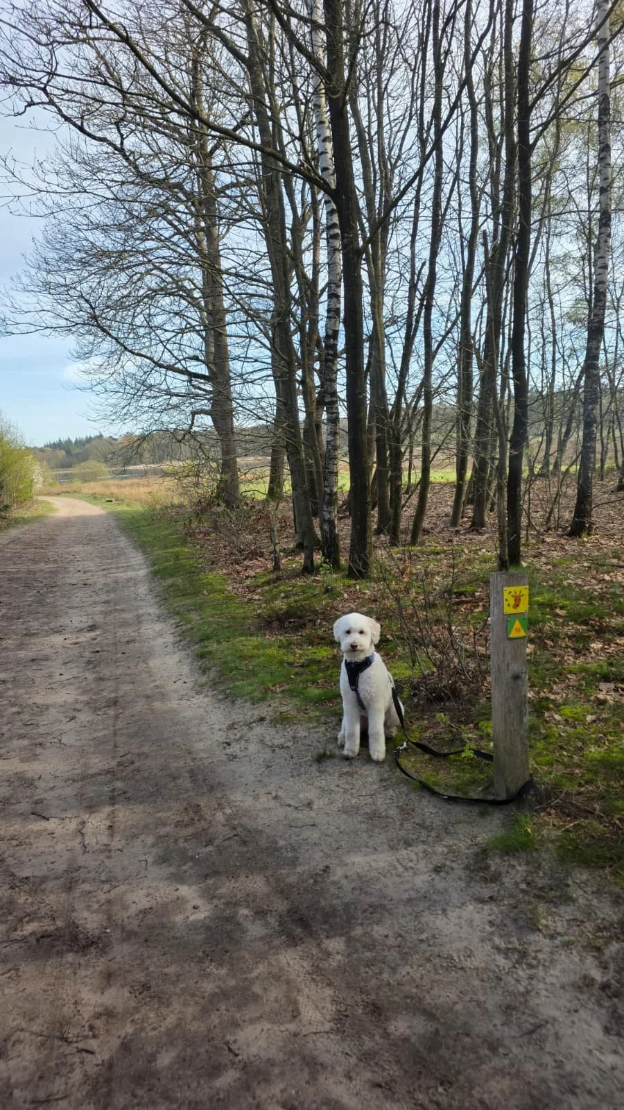 WhatsApp Image 2026-04-06 at 14.05.45.jpeg