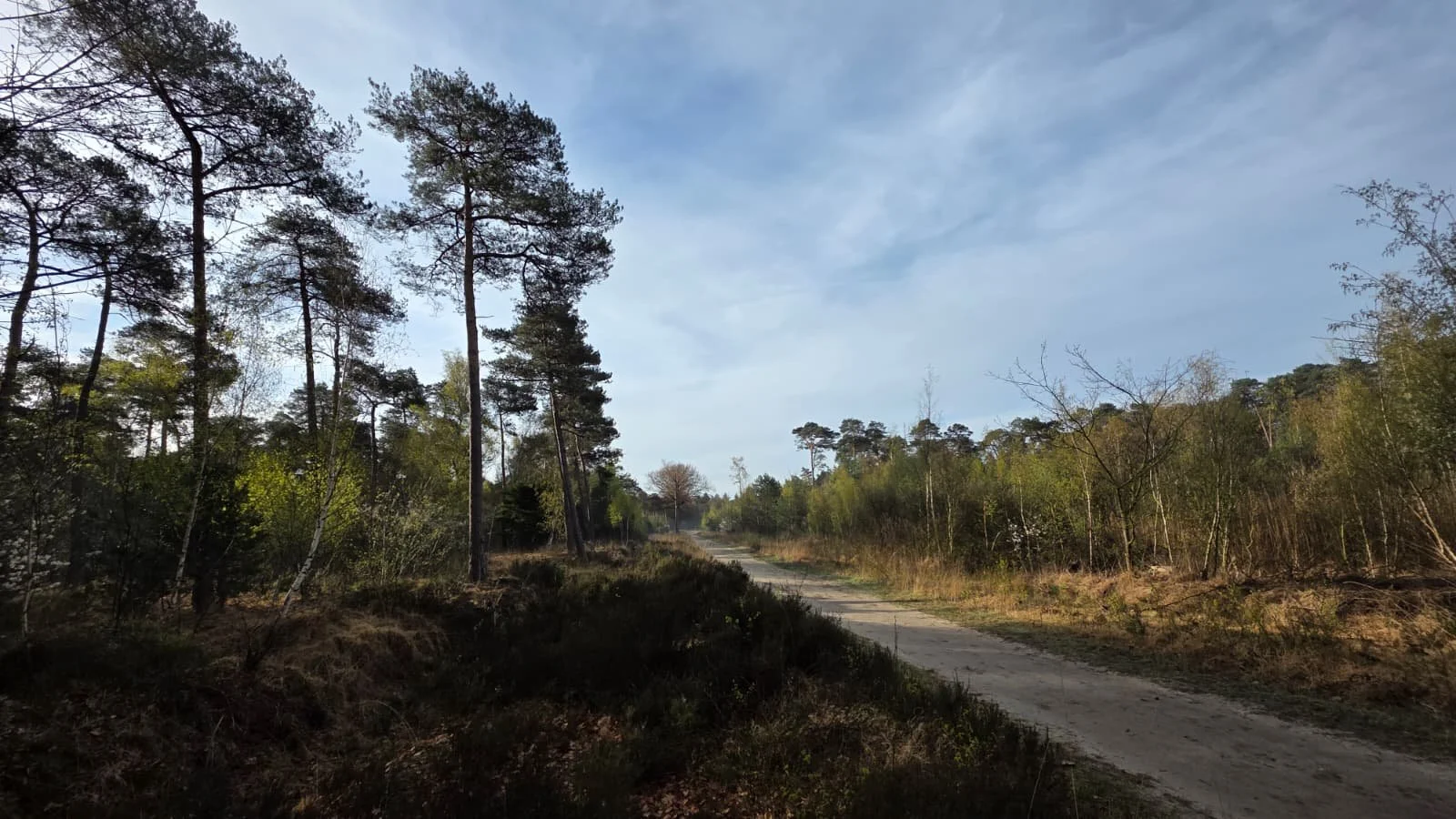 WhatsApp Image 2026-04-06 at 14.05.55 (2).jpeg