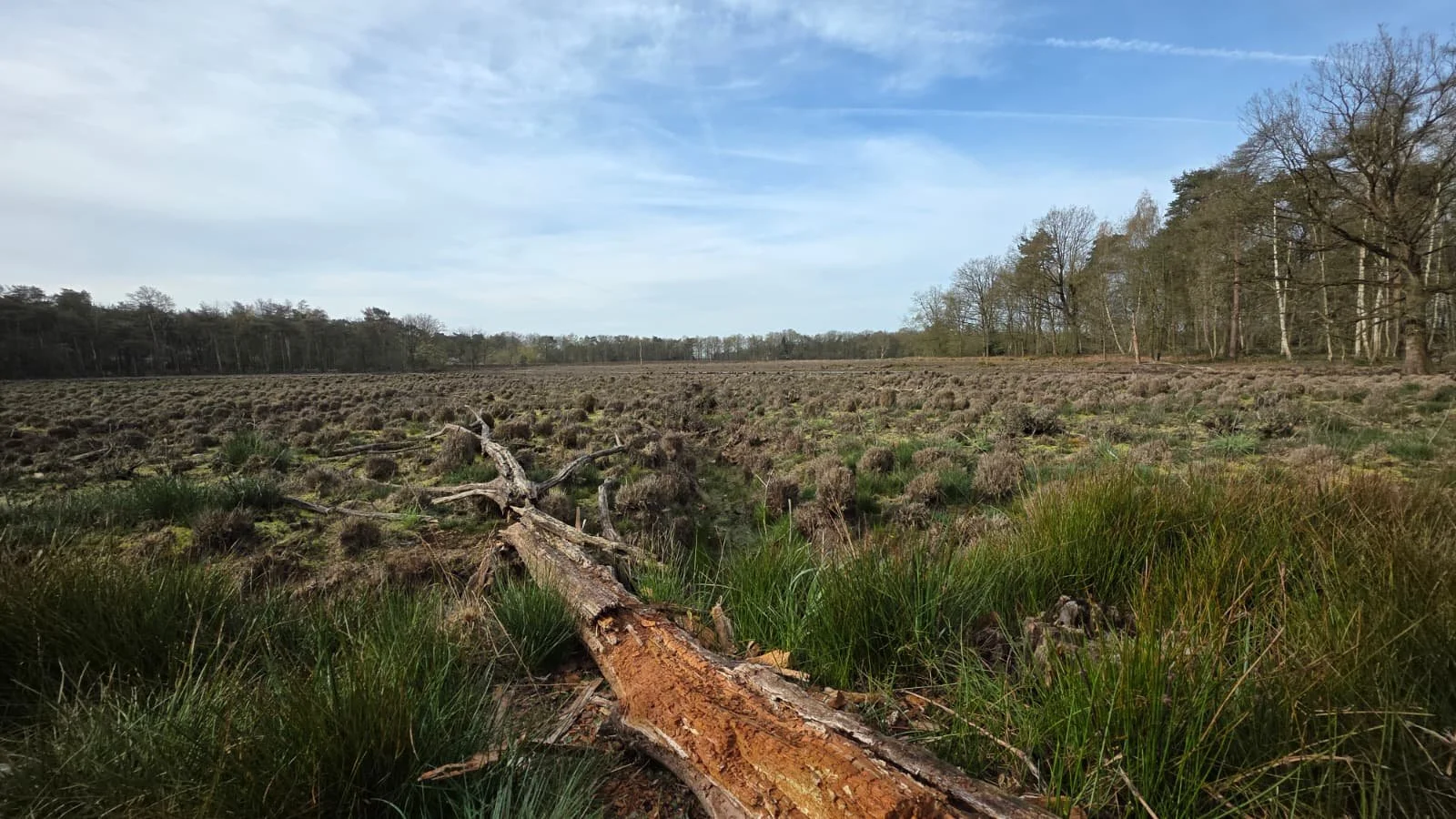 WhatsApp Image 2026-04-06 at 14.05.55 (1).jpeg