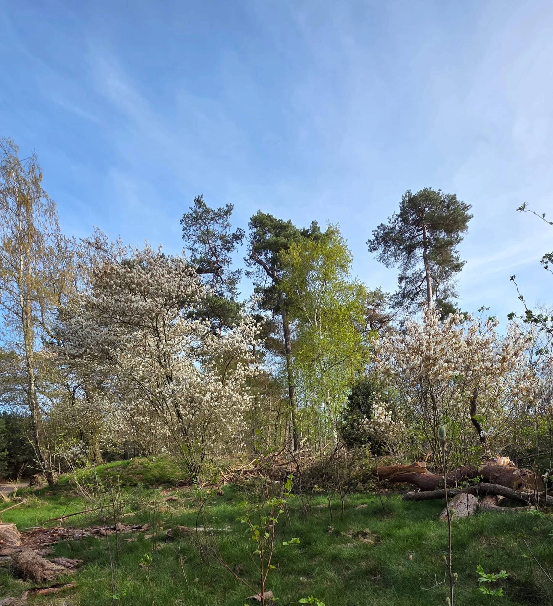 WhatsApp Image 2026-04-06 at 14.05.44 (1).jpeg