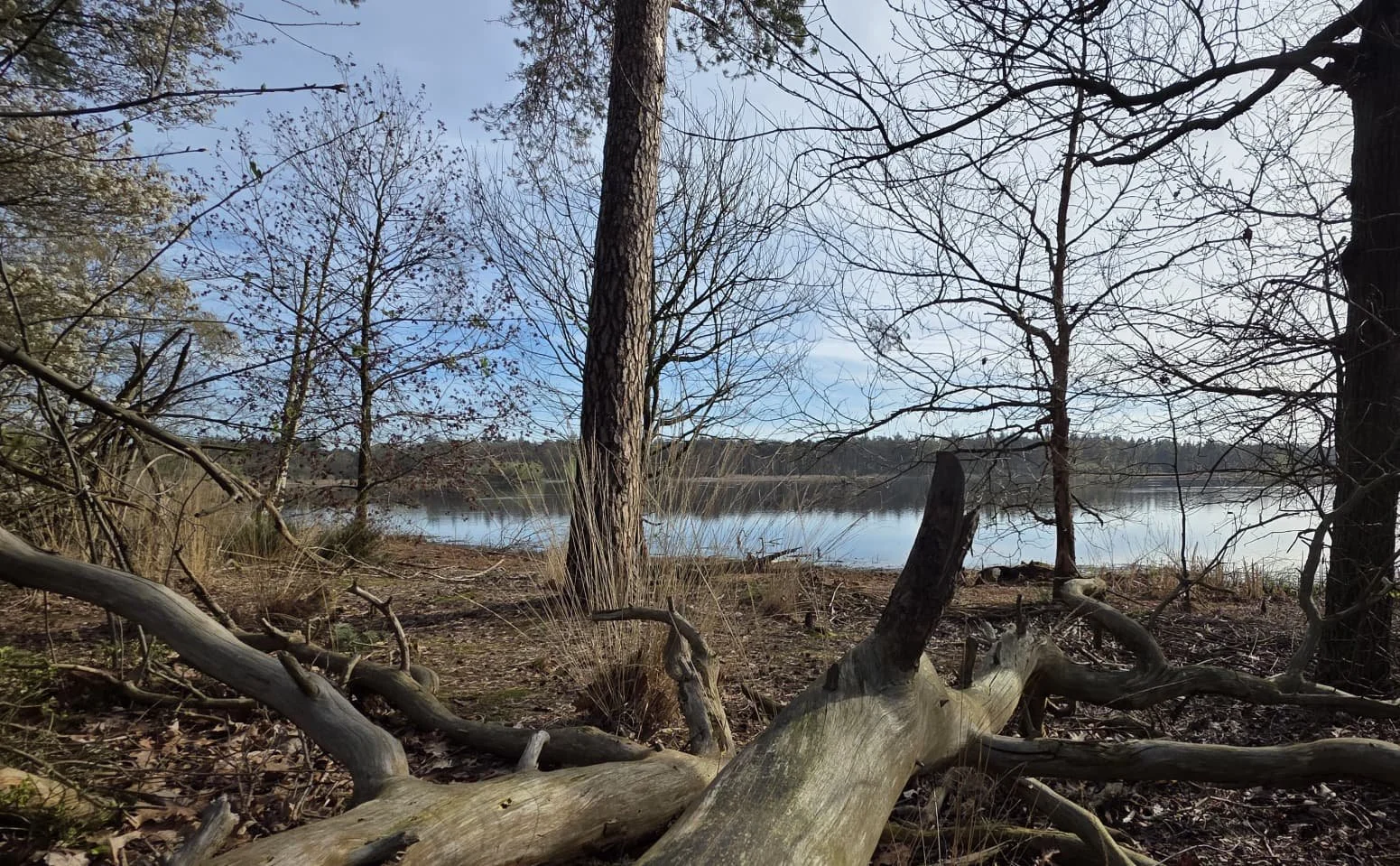 WhatsApp Image 2026-04-06 at 14.05.44 (2).jpeg