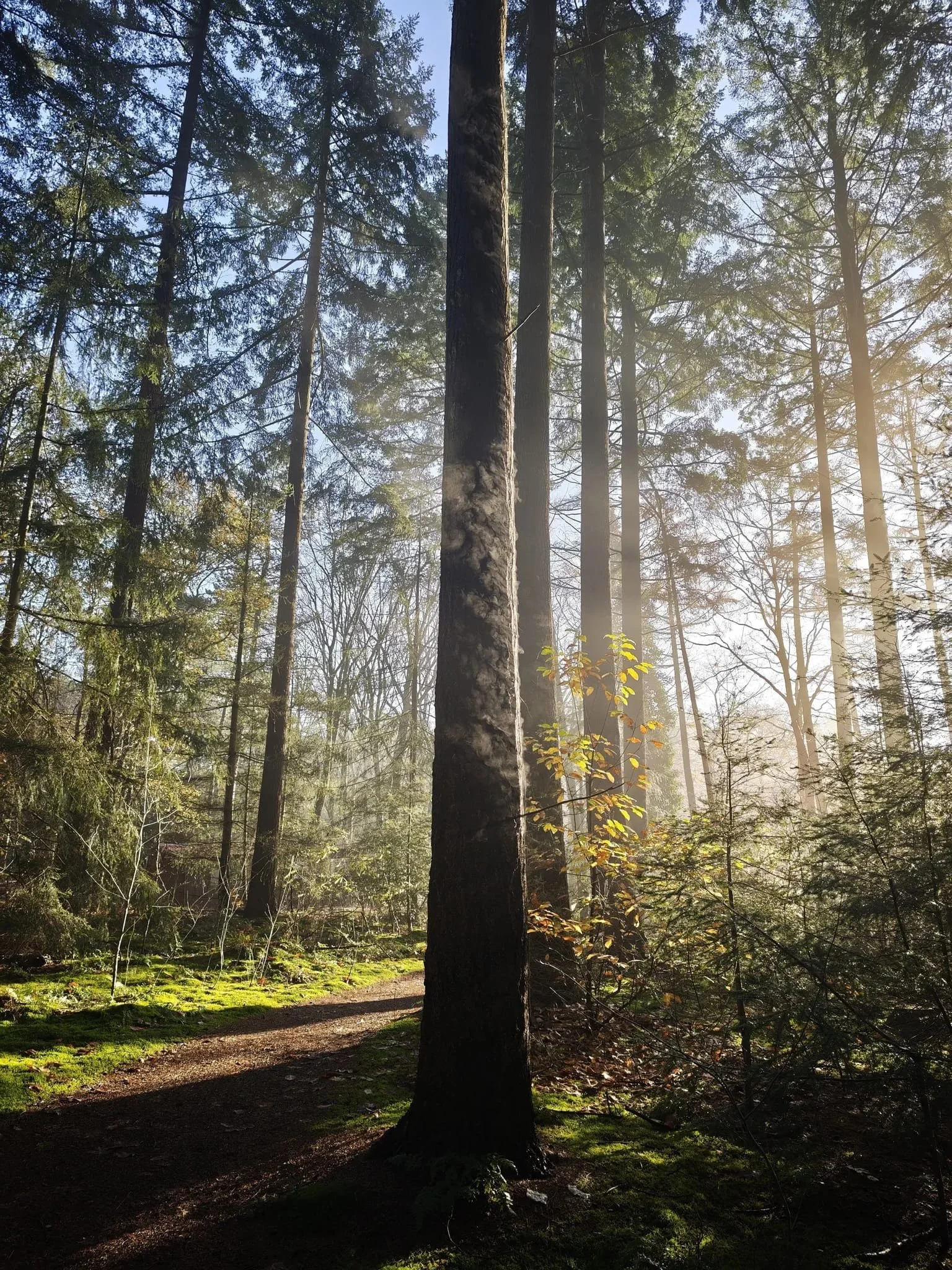 WhatsApp Image 2026-04-12 at 16.42.28 (1).jpeg