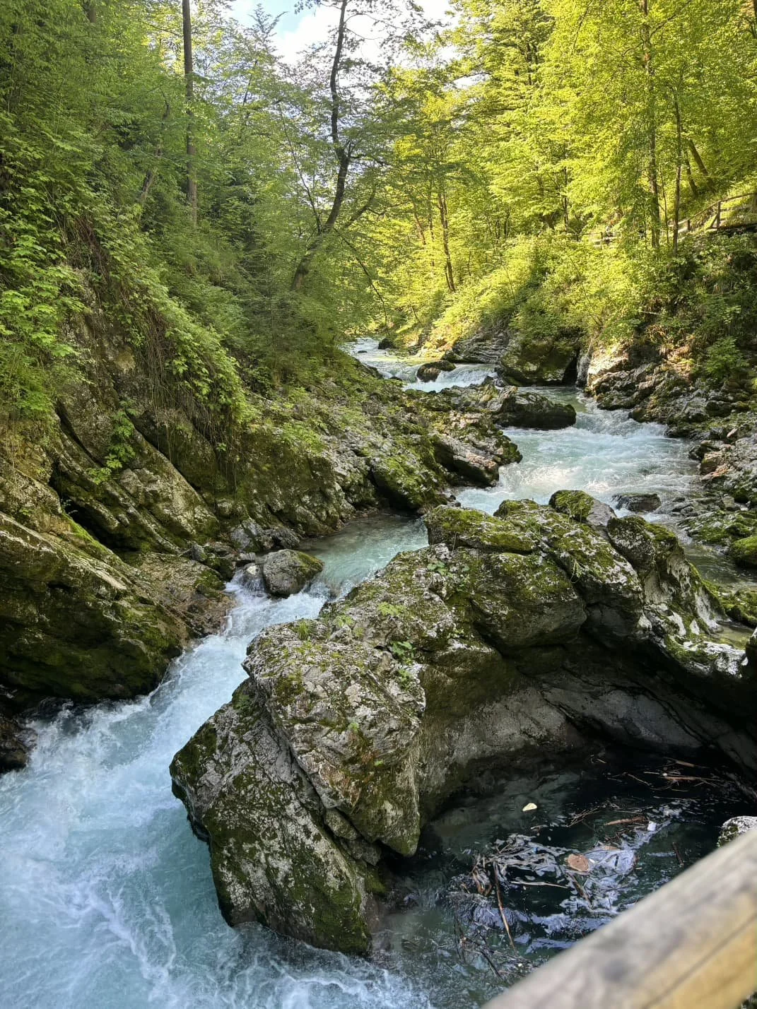 WhatsApp Image 2026-04-10 at 13.16.07 (2).jpeg