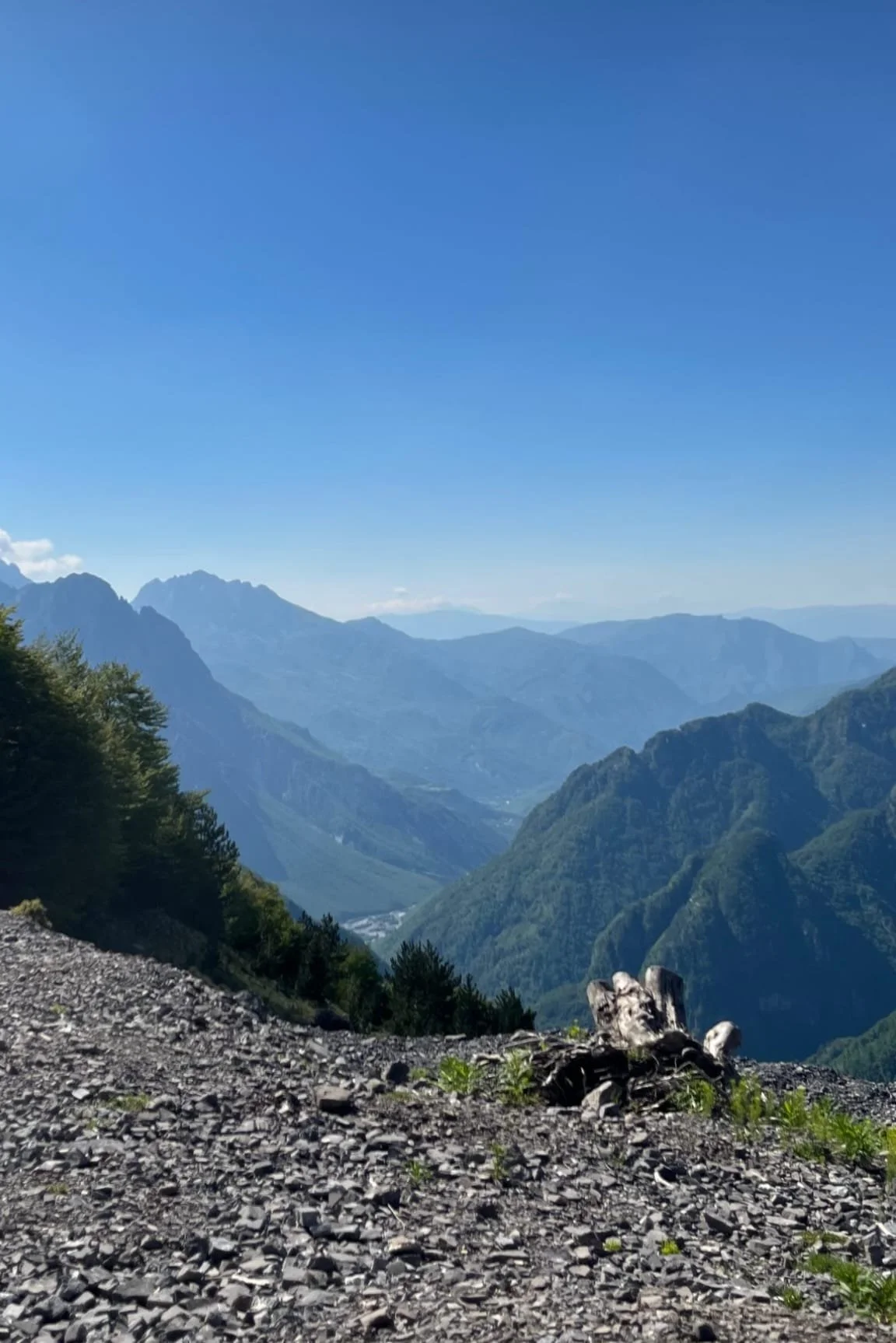 WhatsApp Image 2026-04-10 at 13.24.46.jpeg