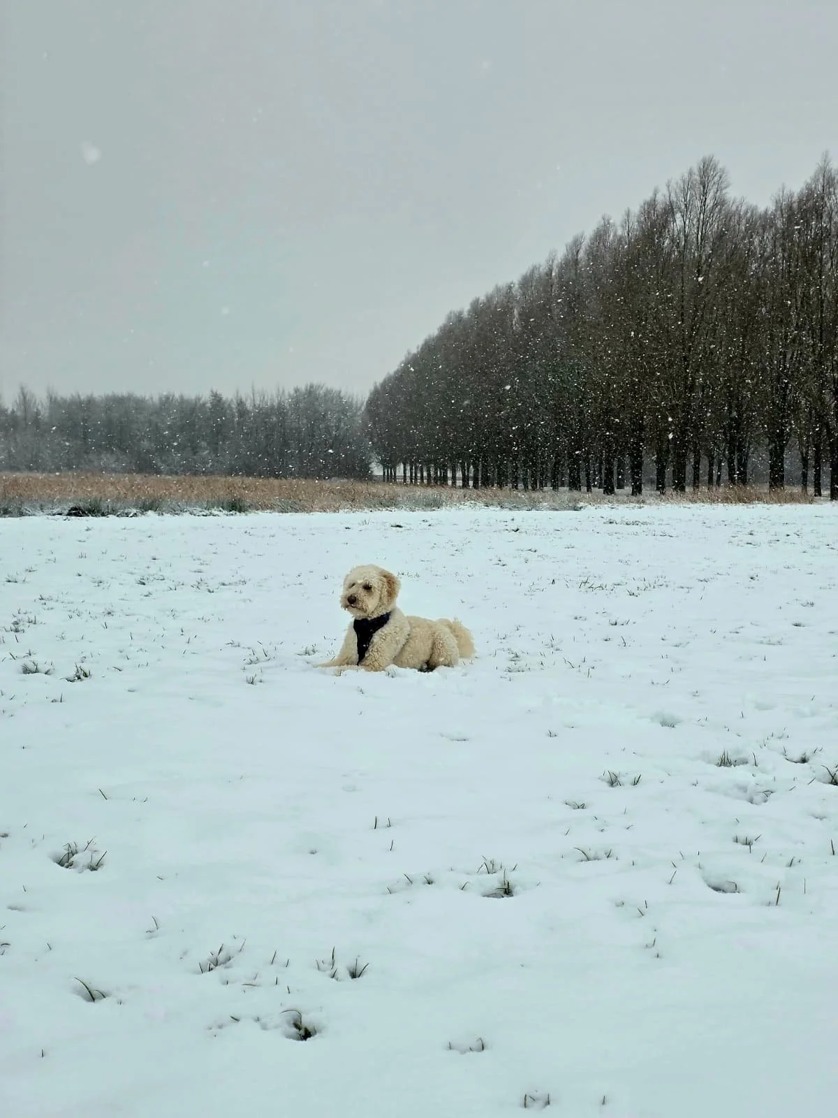 WhatsApp Image 2026-01-04 at 14.41.25 (1).jpeg