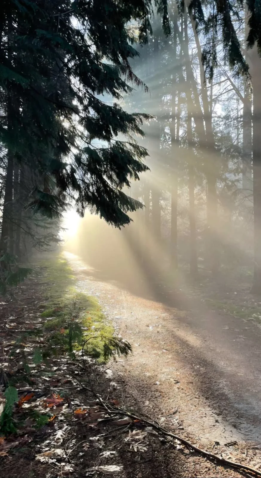 WhatsApp Image 2026-03-22 at 17.30.31.jpeg