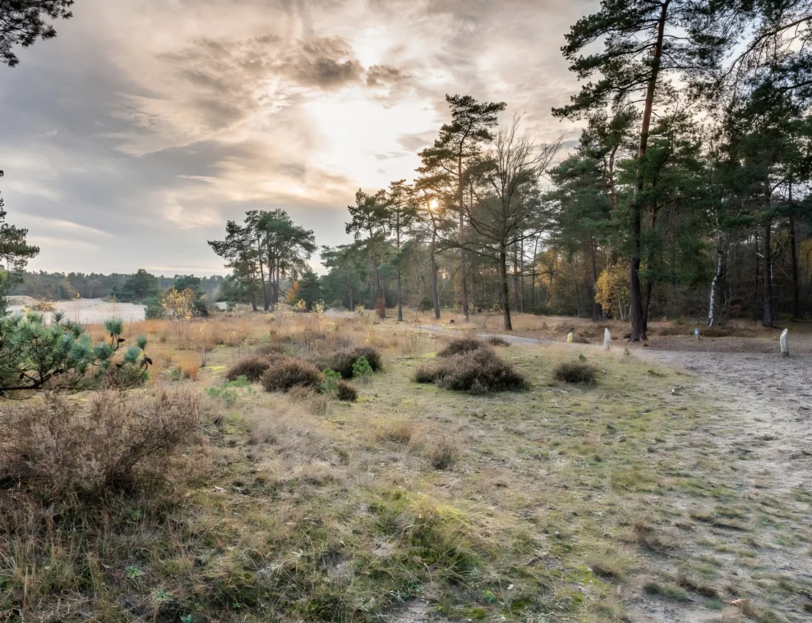 WhatsApp Image 2026-02-01 at 15.22.23.jpeg