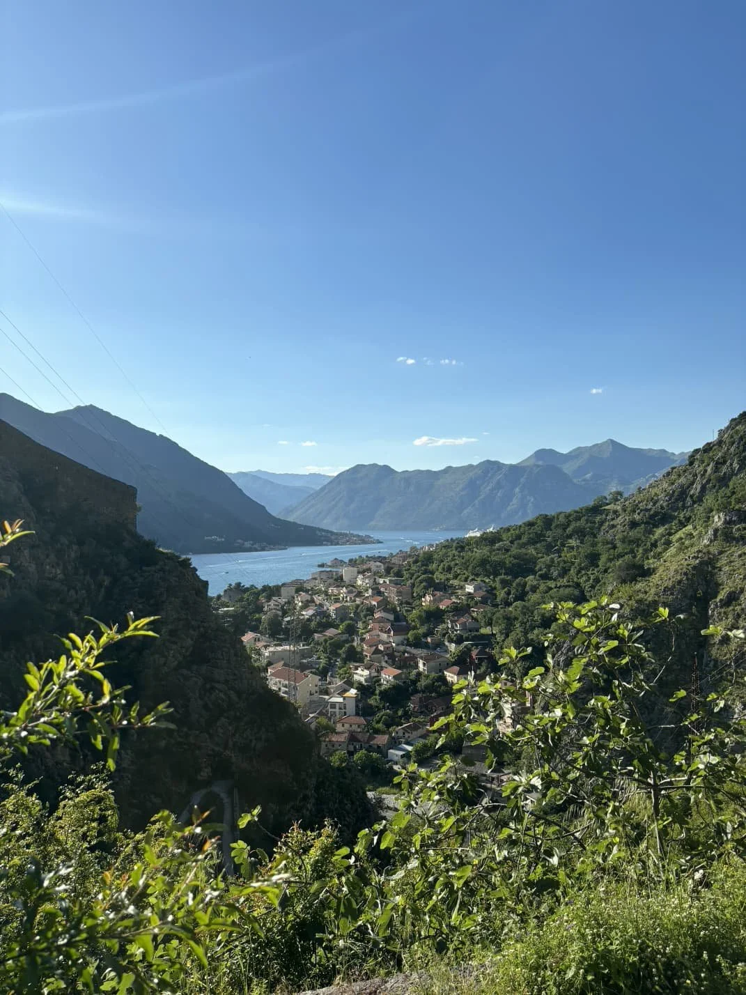 WhatsApp Image 2026-04-10 at 13.16.04.jpeg