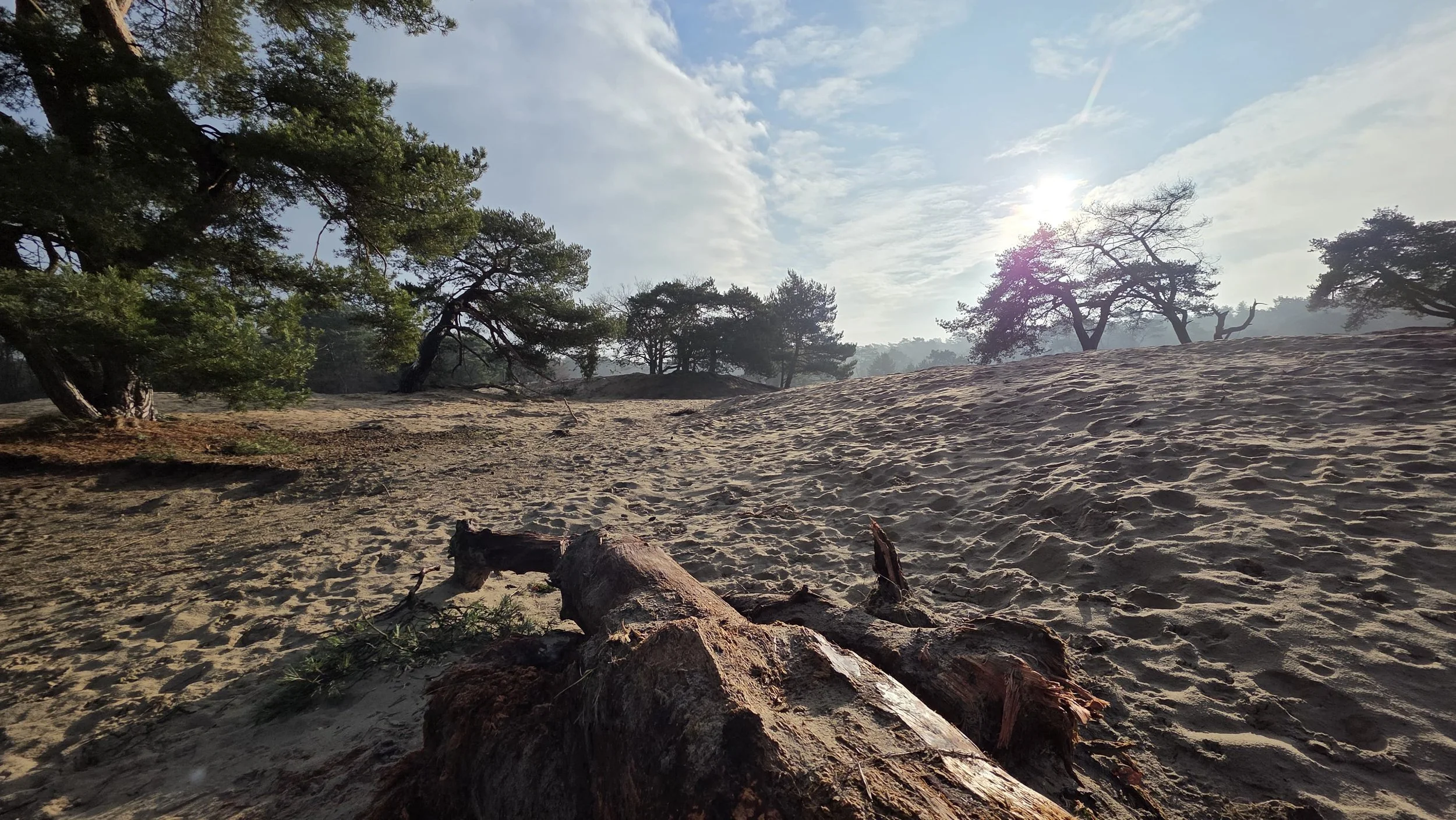 WhatsApp Image 2026-02-01 at 15.22.28.jpeg