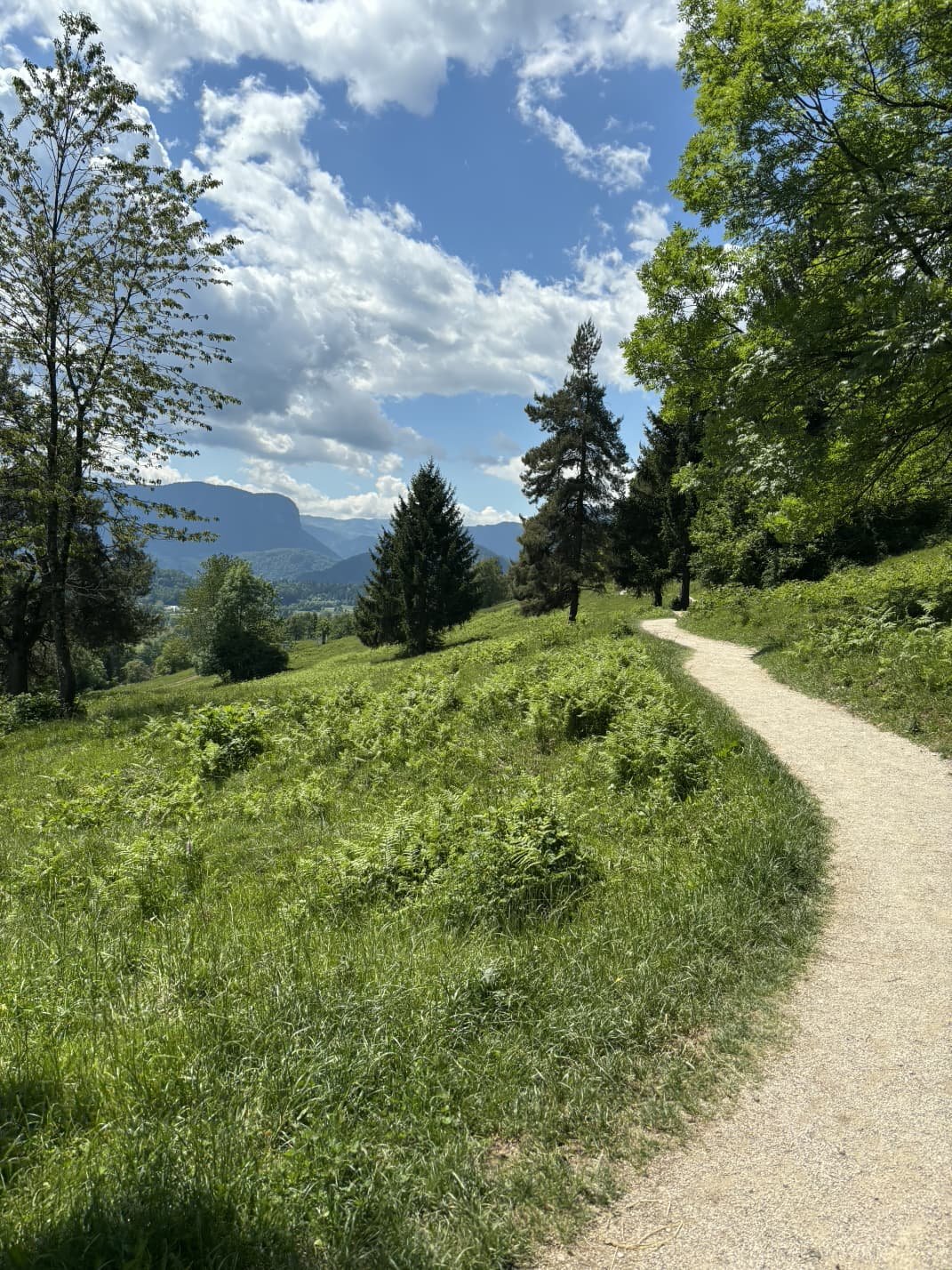 WhatsApp Image 2026-04-10 at 13.16.01.jpeg