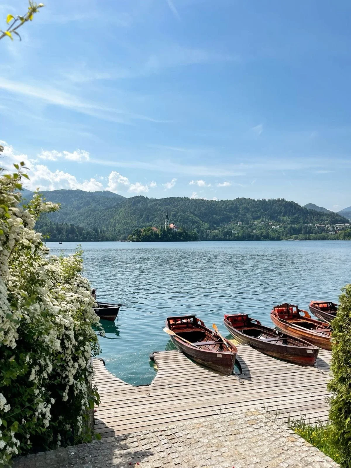 WhatsApp Image 2026-04-10 at 13.16.04 (2).jpeg