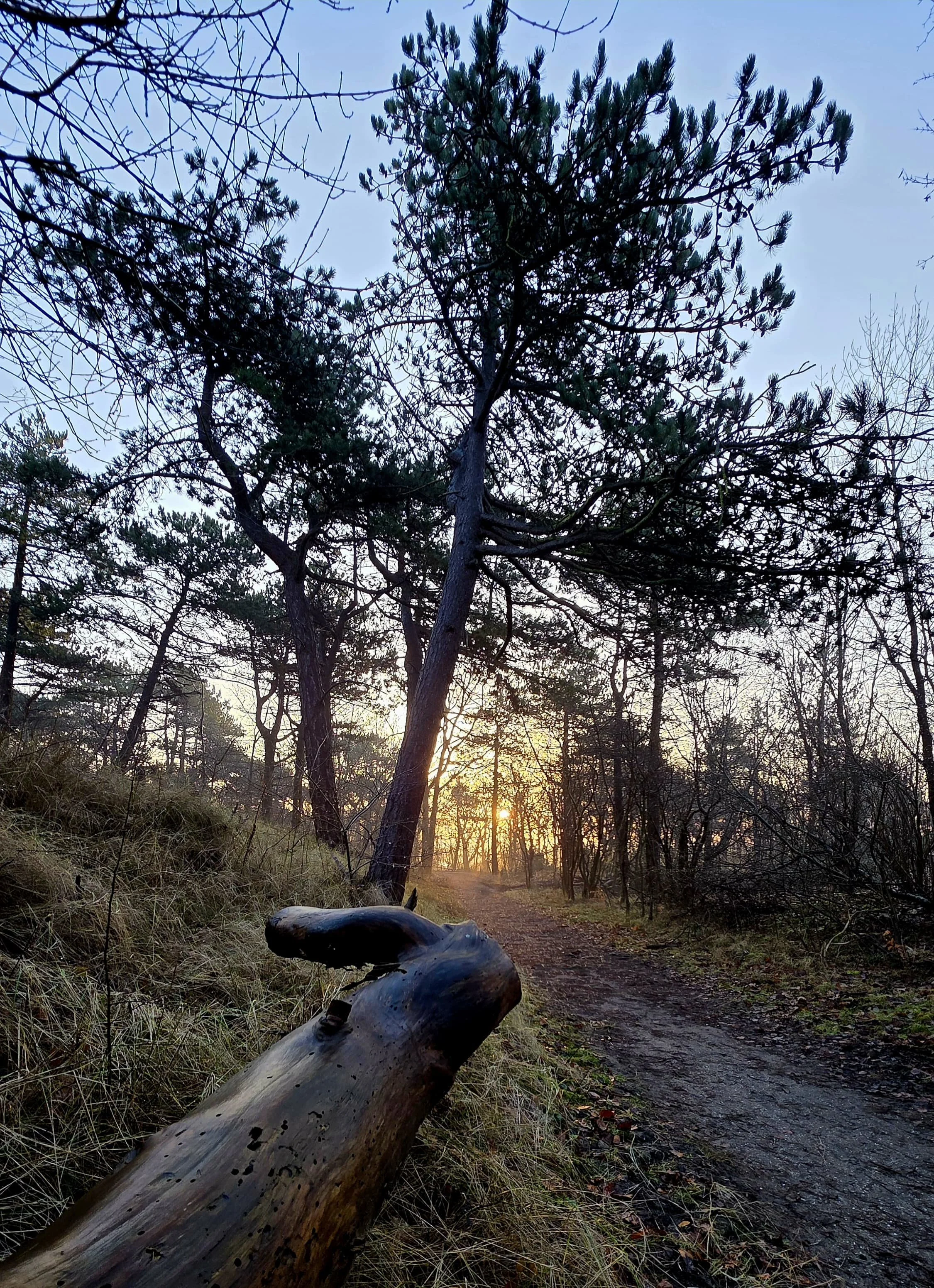 WhatsApp Image 2026-02-07 at 13.43.11 (1).jpeg