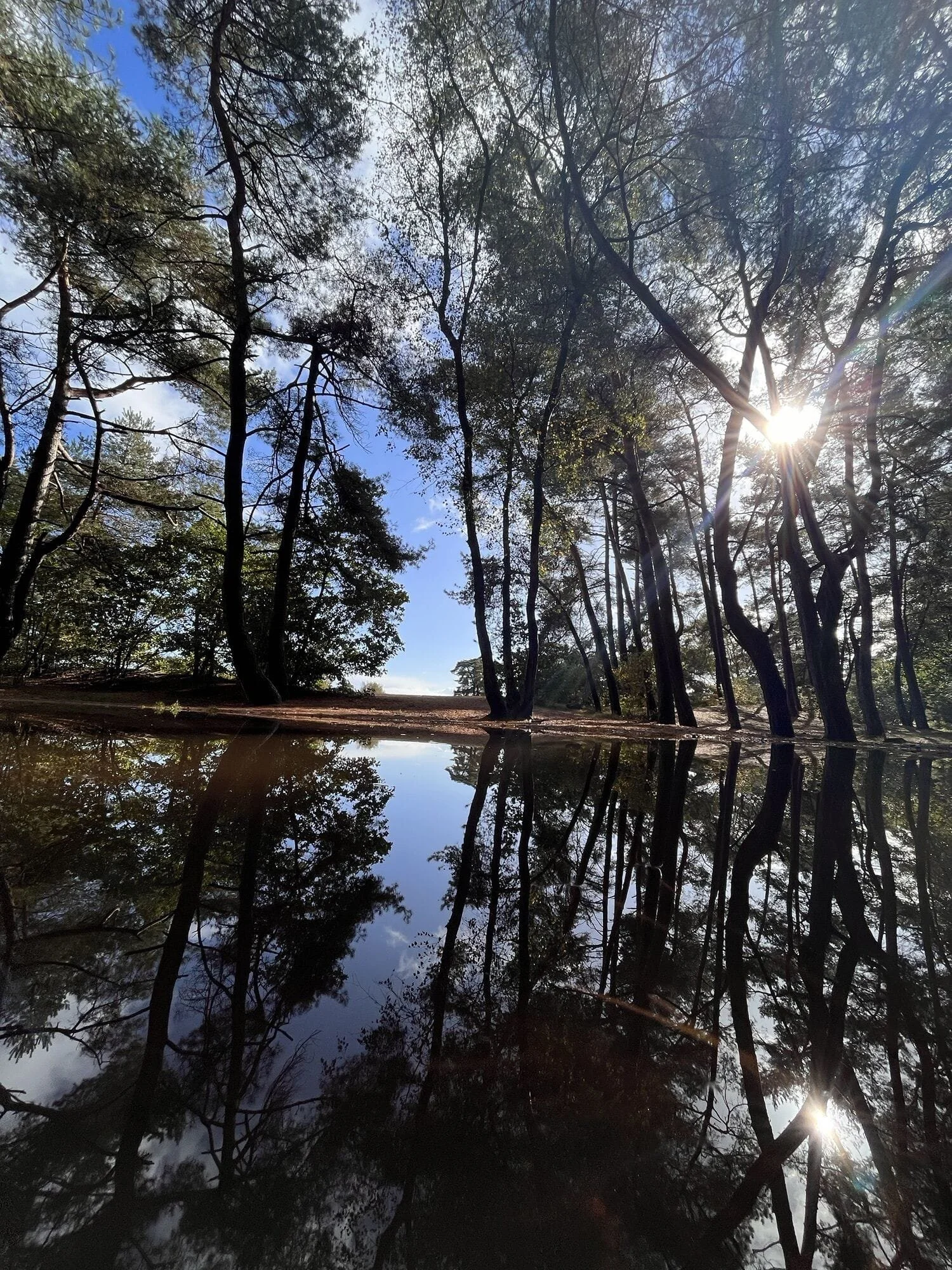 WhatsApp Image 2026-02-07 at 13.43.14 (3).jpeg