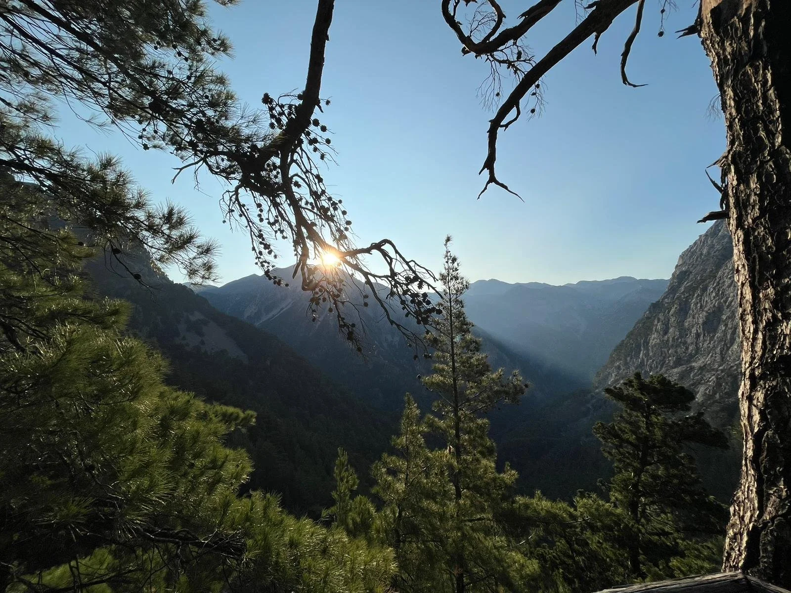 WhatsApp Image 2026-04-10 at 13.16.06 (1).jpeg