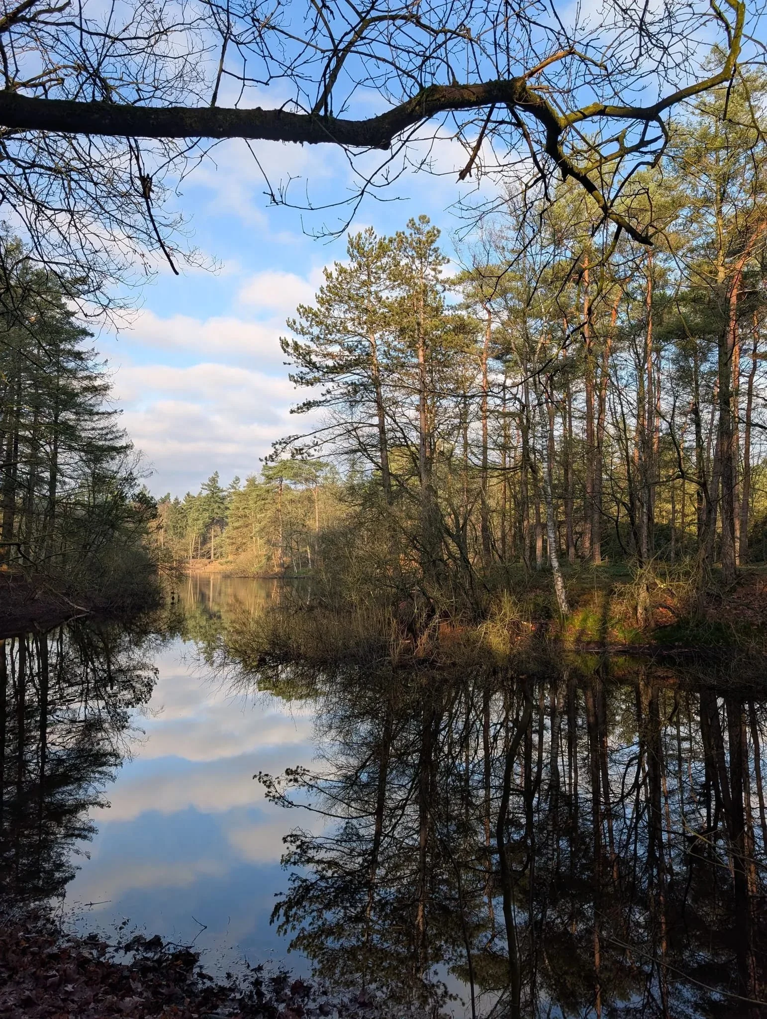 WhatsApp Image 2026-04-12 at 16.42.29 (2).jpeg