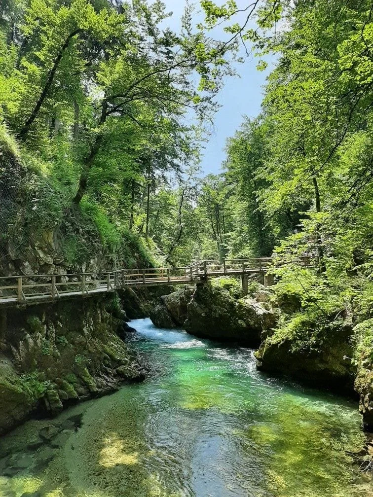 WhatsApp Image 2026-04-10 at 13.16.04 (1).jpeg