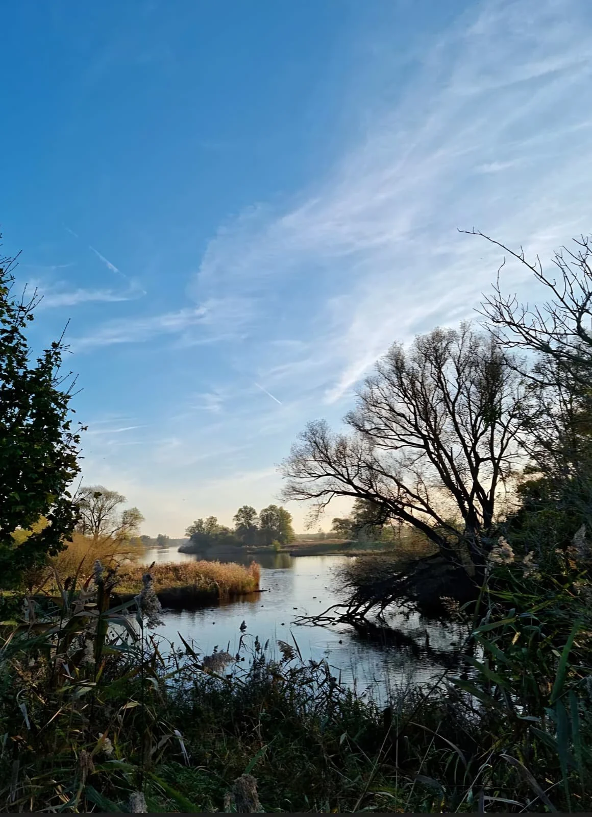 WhatsApp Image 2026-03-01 at 16.31.49.jpeg