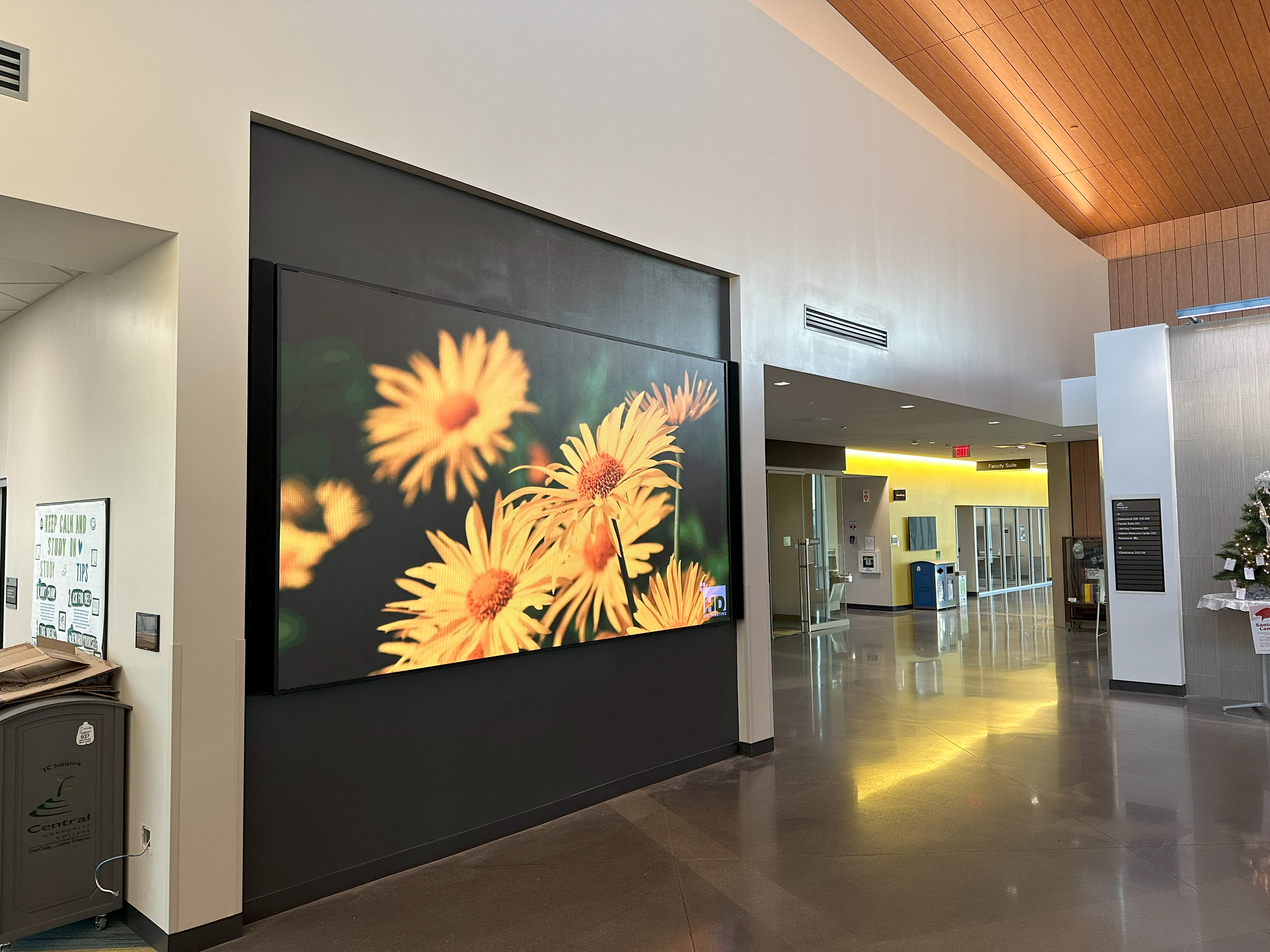 A large rectangular LED wall showing a vibrant close-up of yellow flowers.