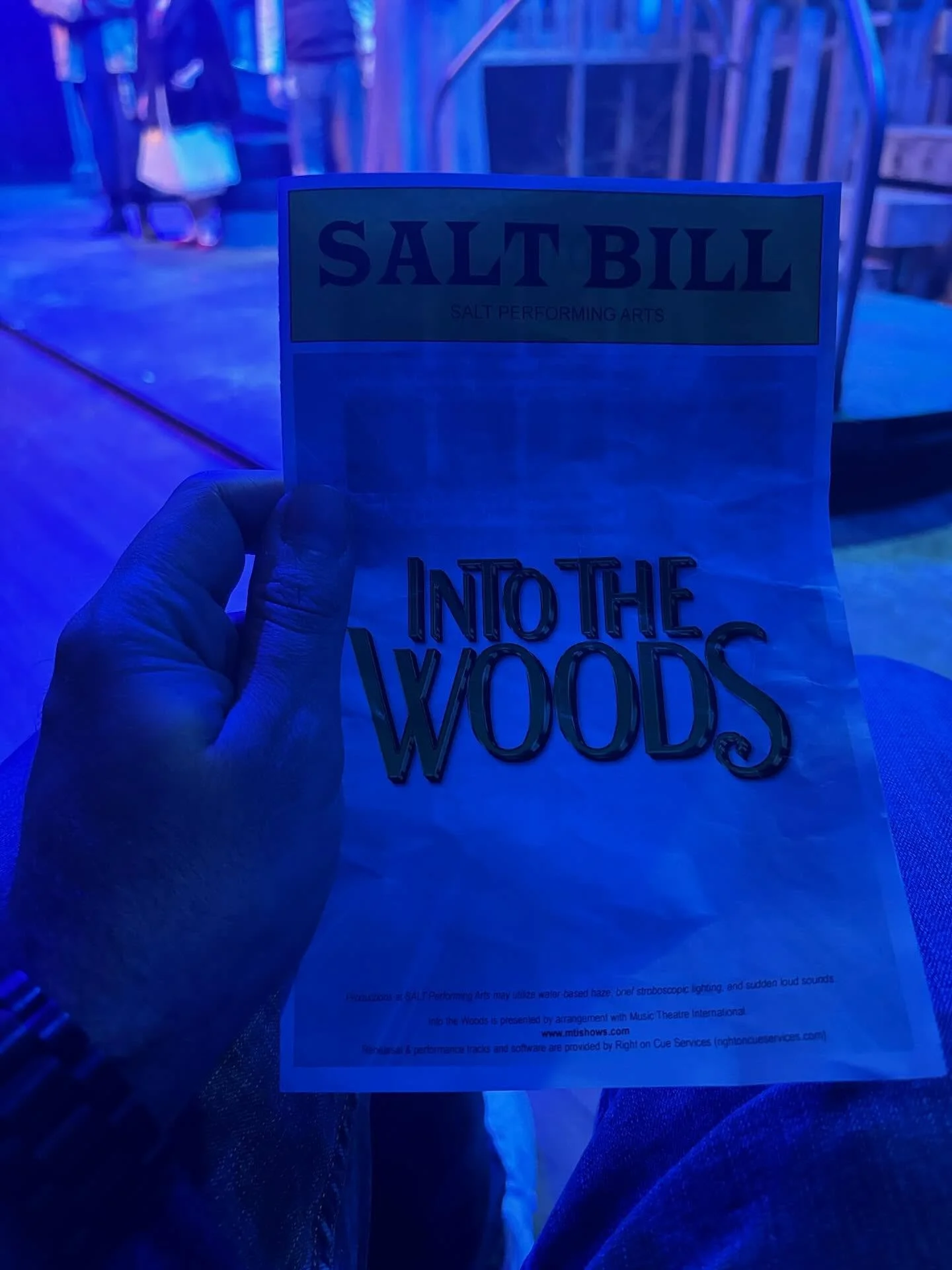Congrats to our very own insanely talented Emi Aungst and the cast and crew of SALT&rsquo;s production of Into the Woods! 

The show is PHENOMENAL, vocals are 👌, and Emi blows the roof off as the Witch.

Go see it! 🎶🔥