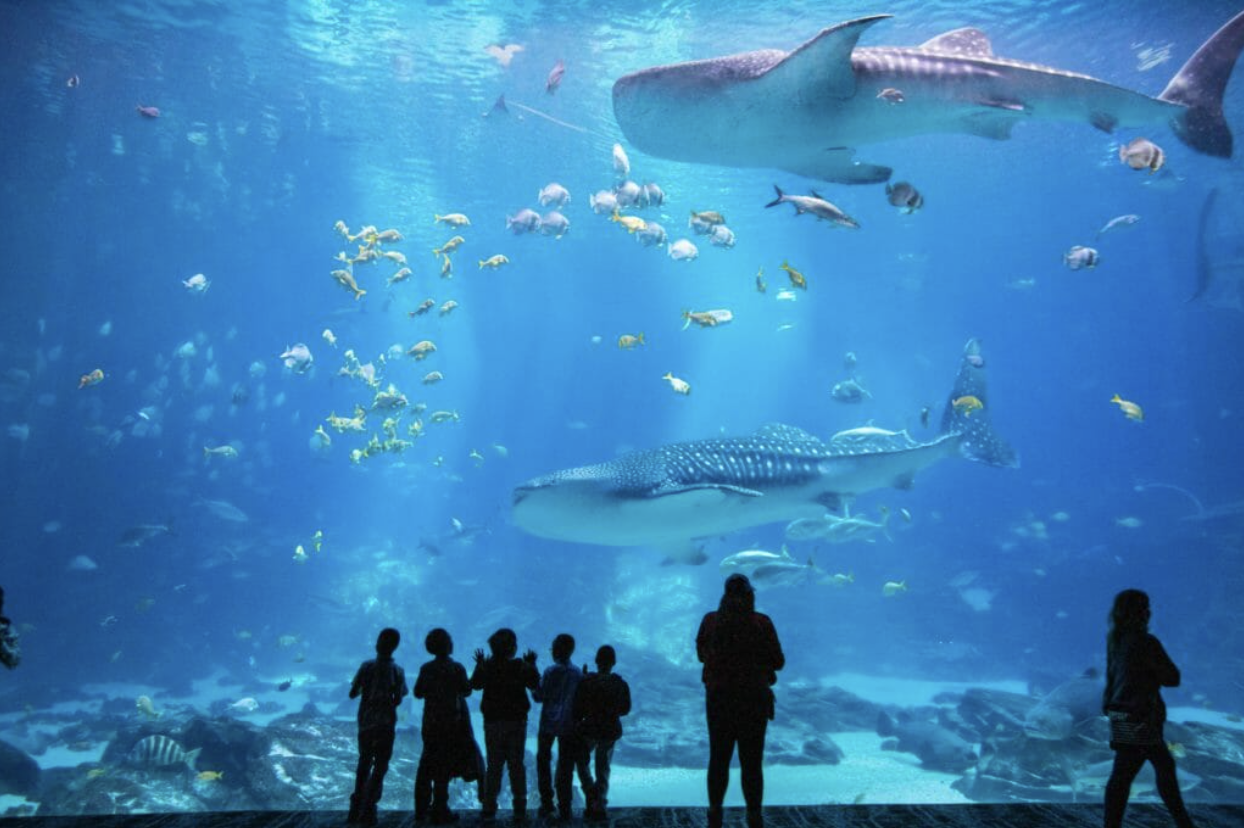 Things to do in Atlanta