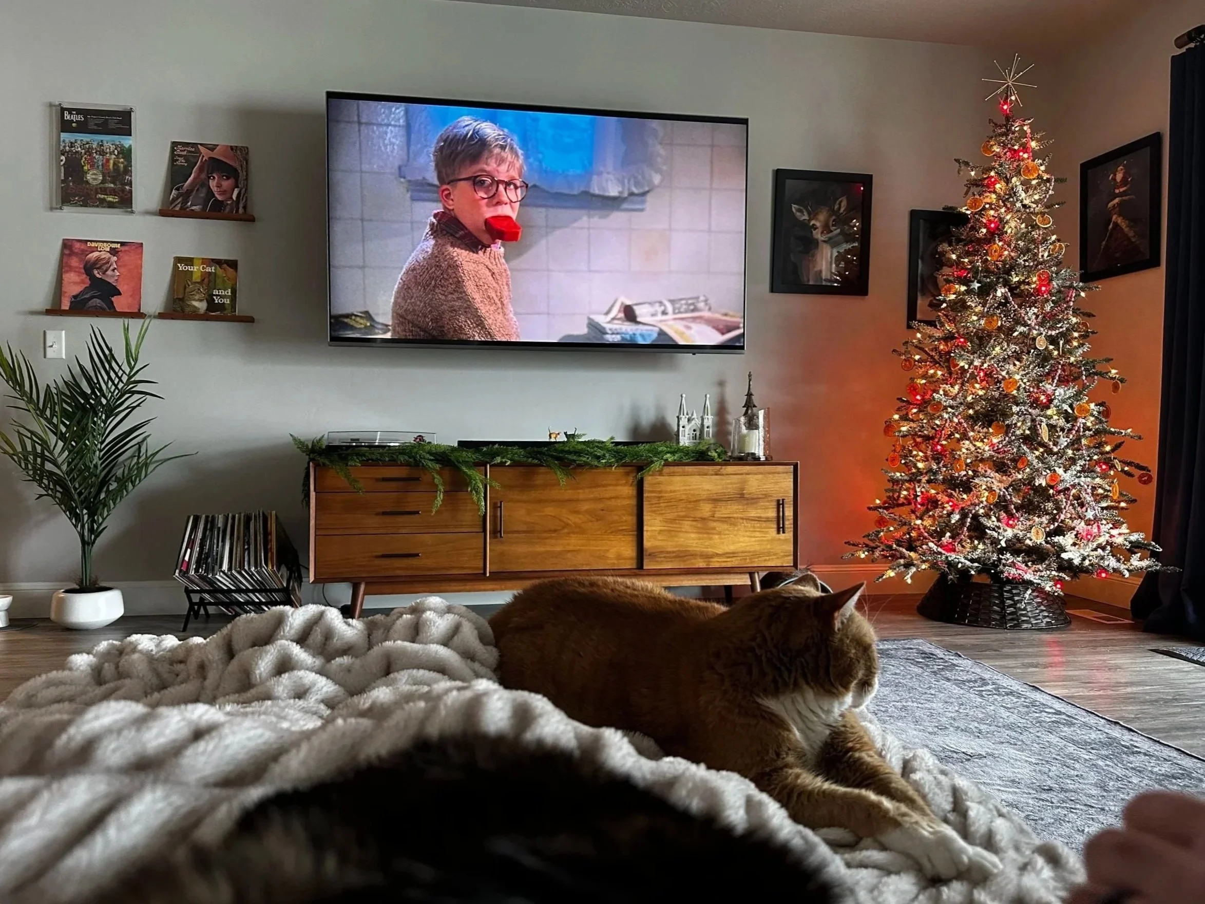 A Softer Kind of Christmas