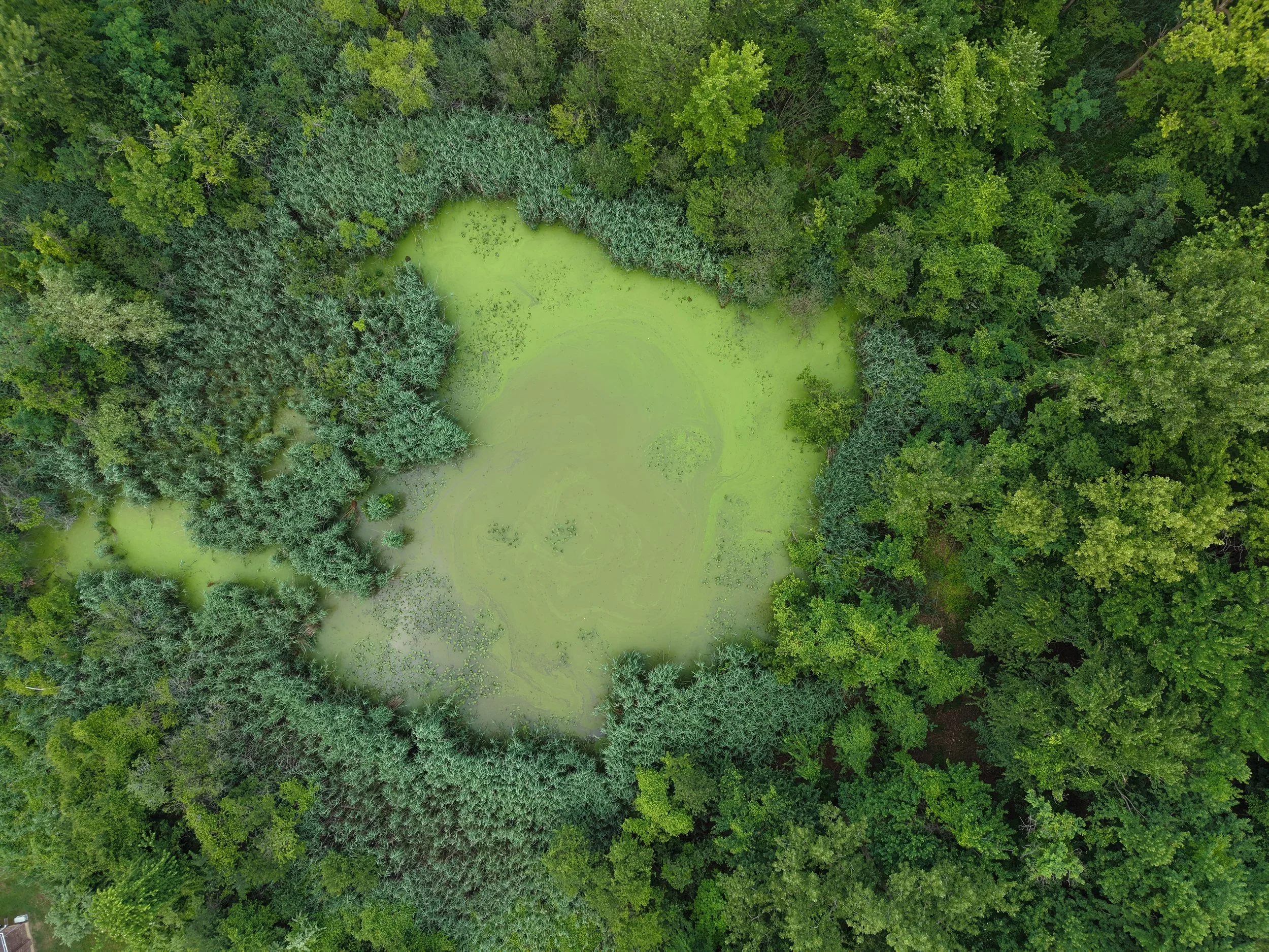 DJI_20250703155202_0206_D.JPG