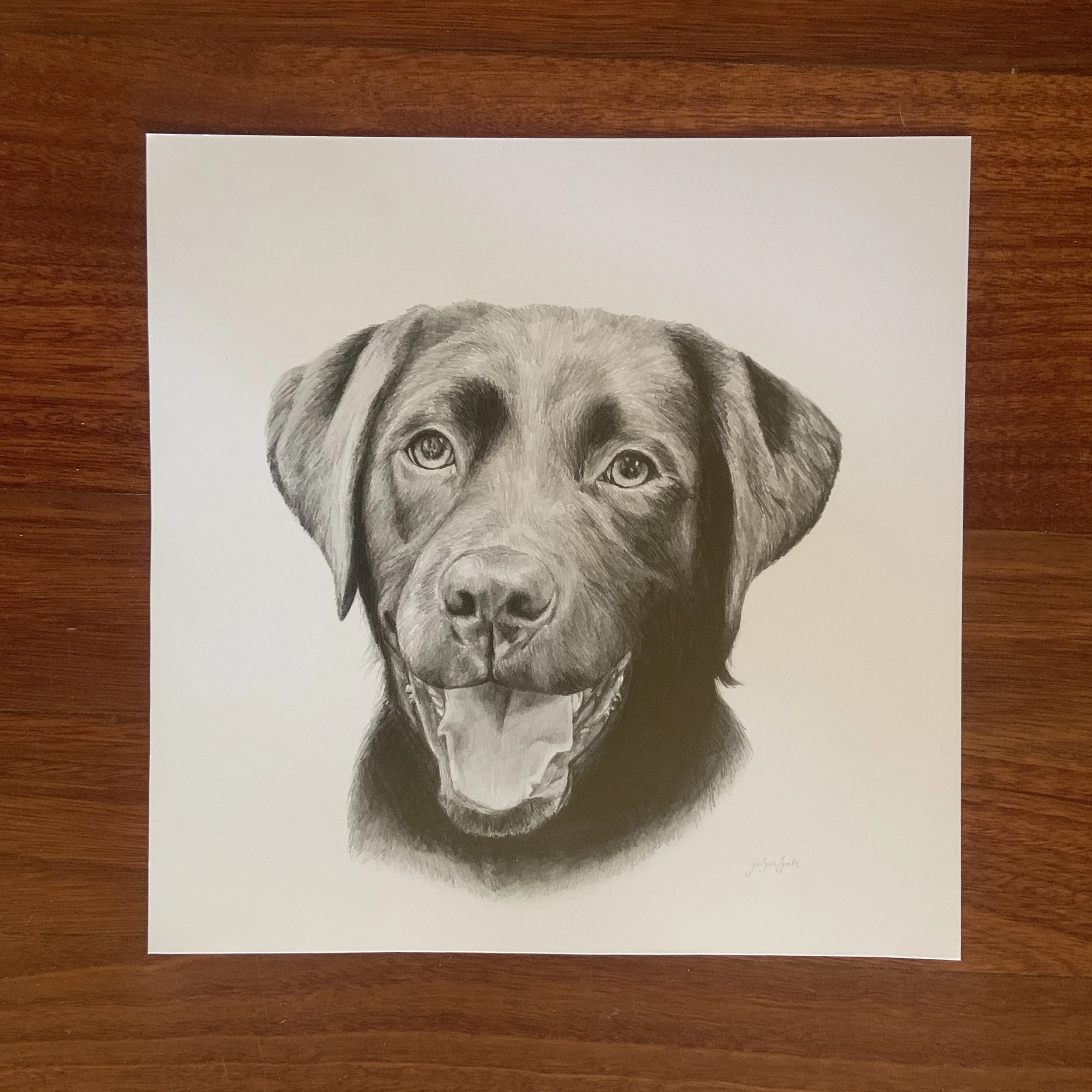 Graphite Pencil Drawing