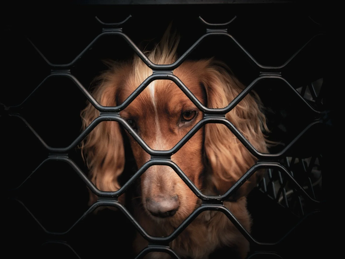 📸 calm before the storm